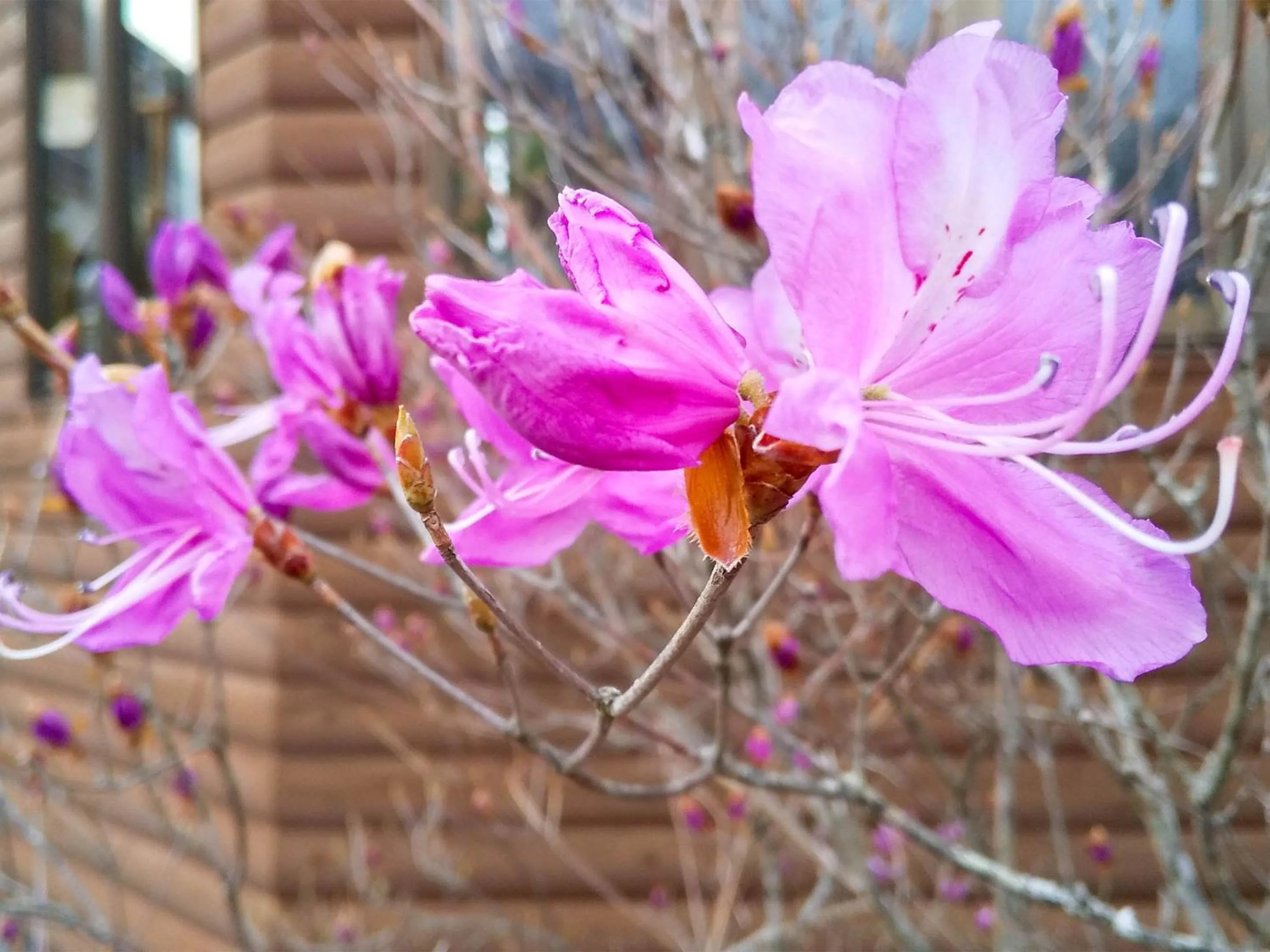 Property building in Yamanakako Pension Pause