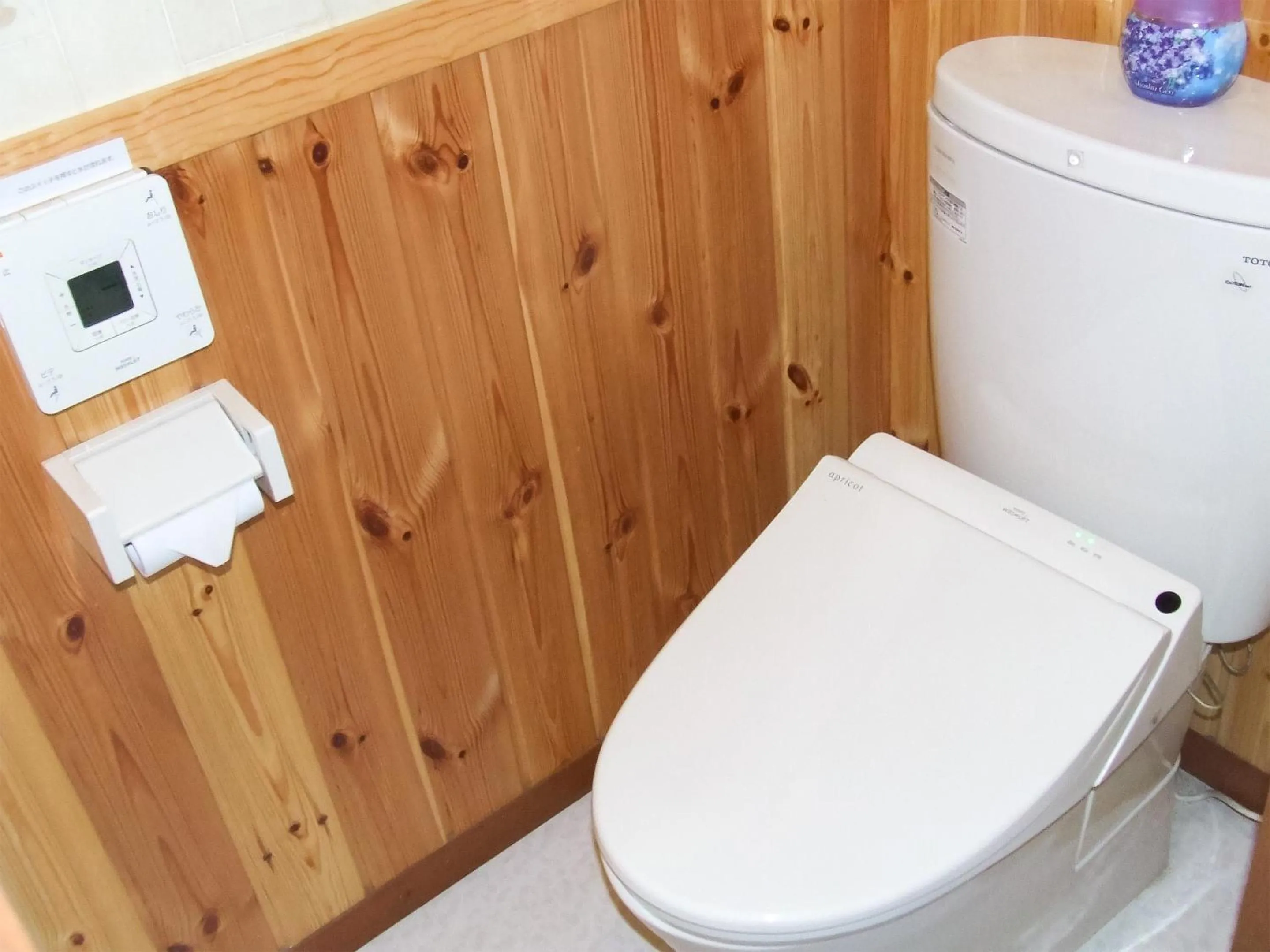 Toilet in Yamanakako Pension Pause