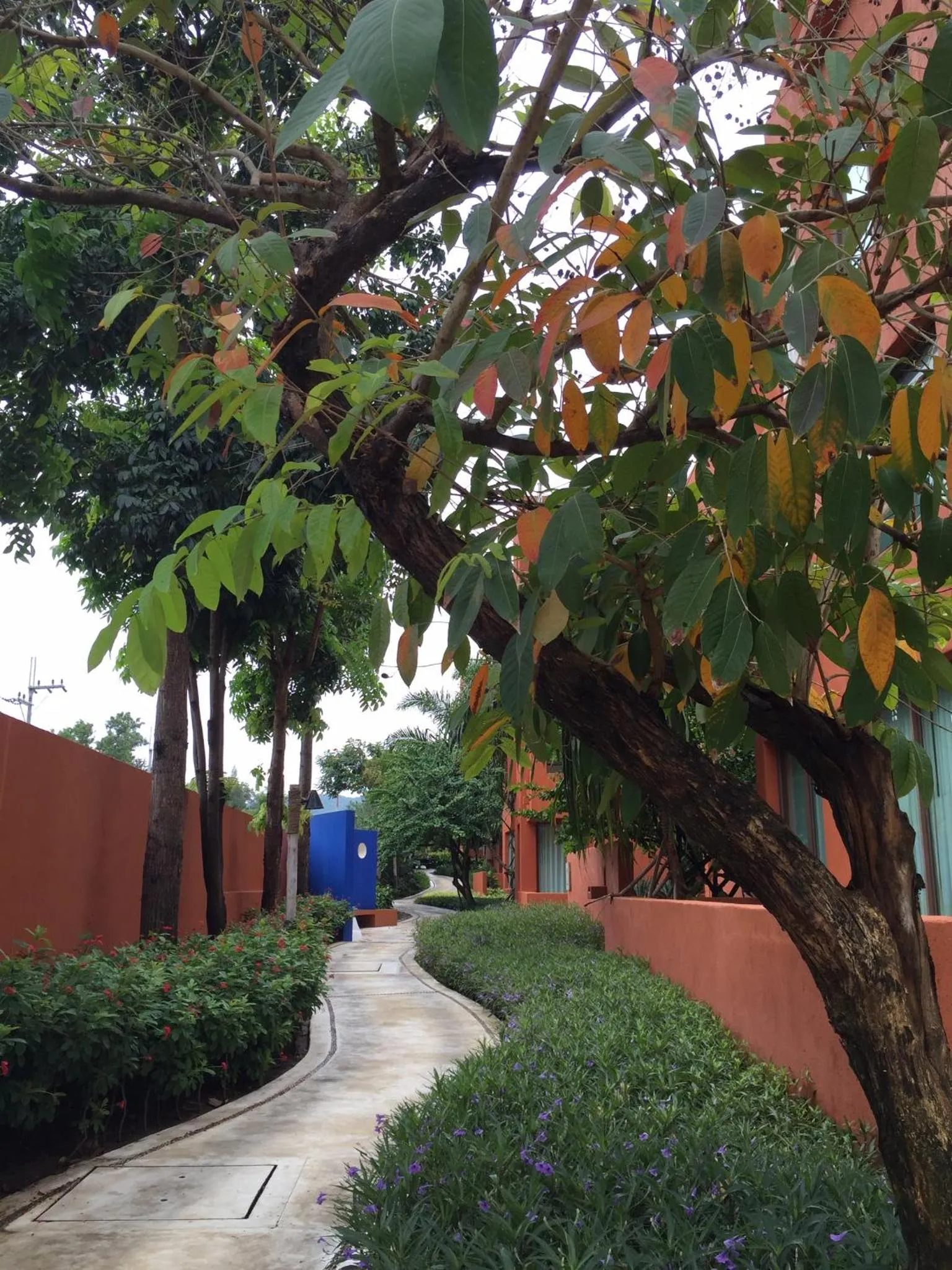 Away Las Tortugas at Hua Hin