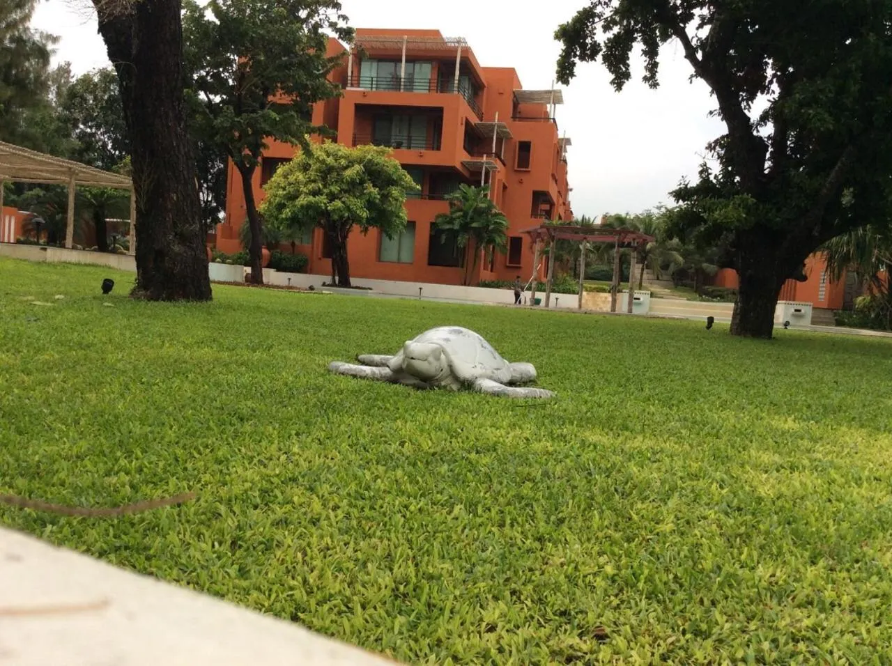 Away Las Tortugas at Hua Hin