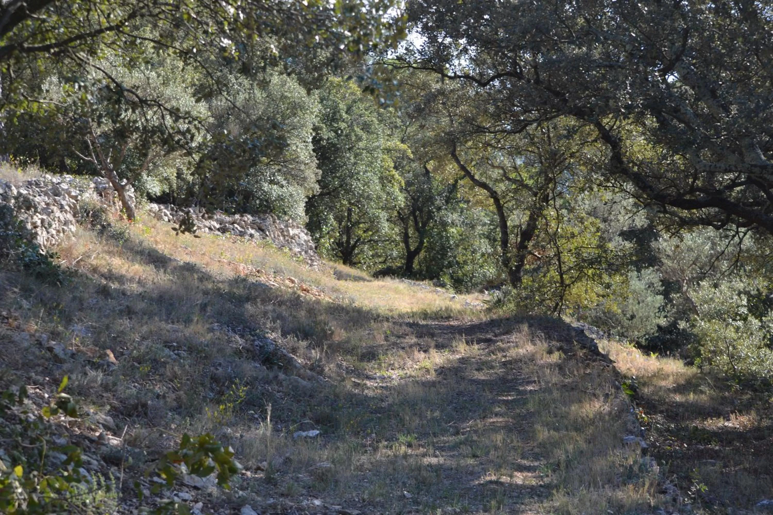 Natural landscape in Tivoli en Provence