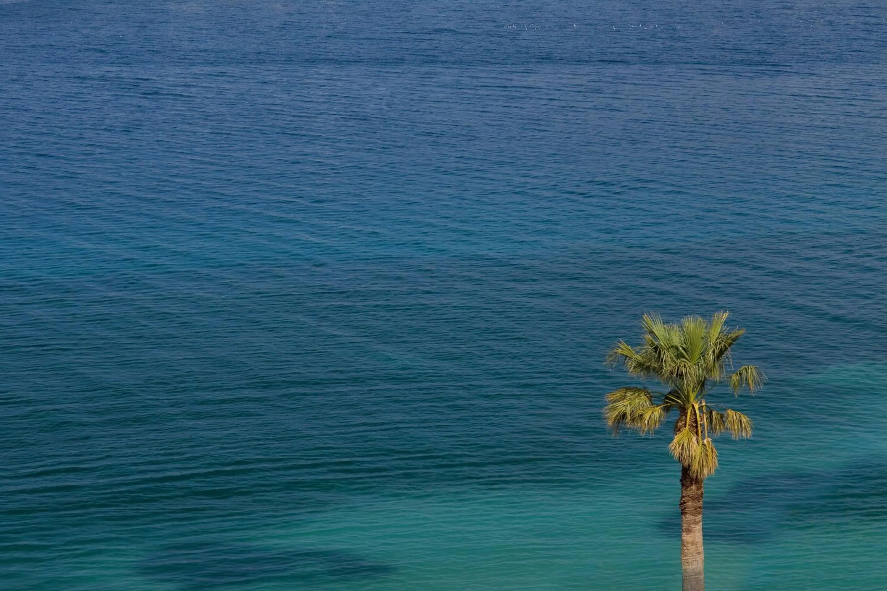 Sea view in Hotel Eden