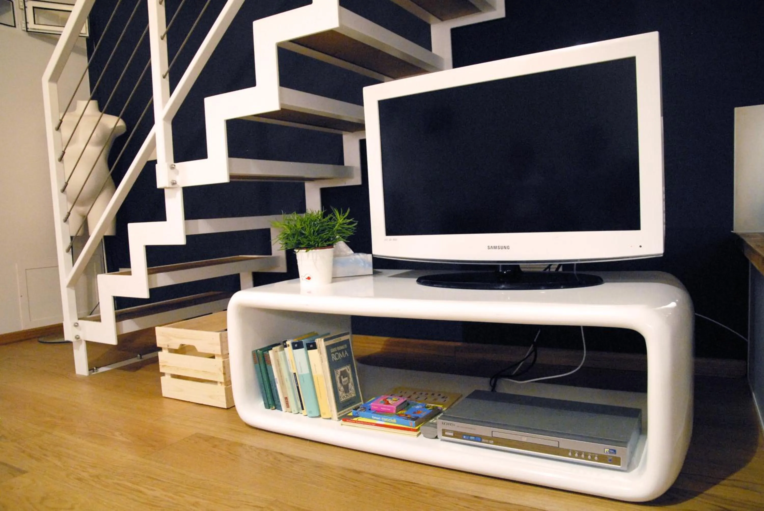 TV and multimedia in Loft 17