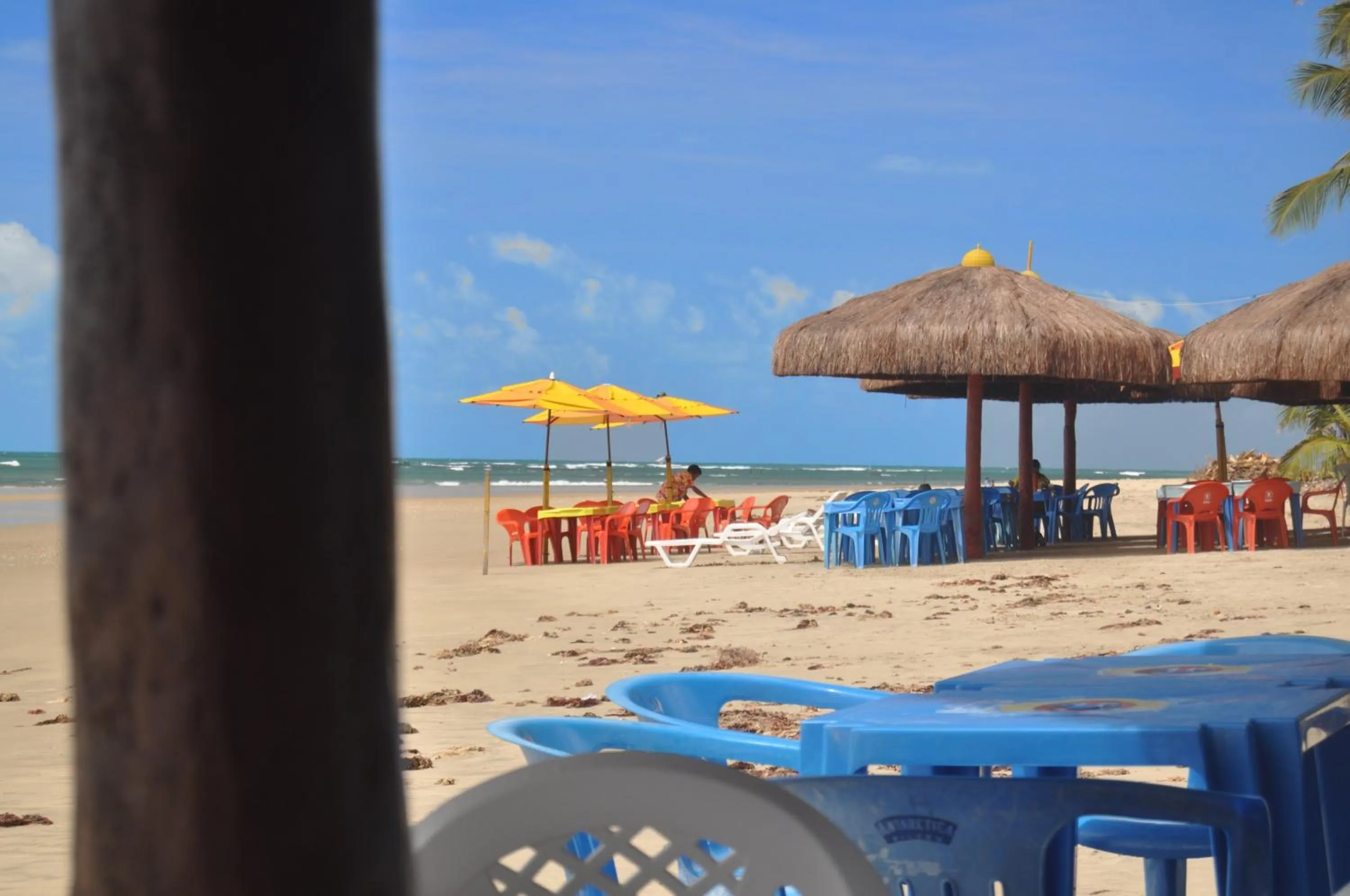 Natural landscape in Seaflats Iracema Residence
