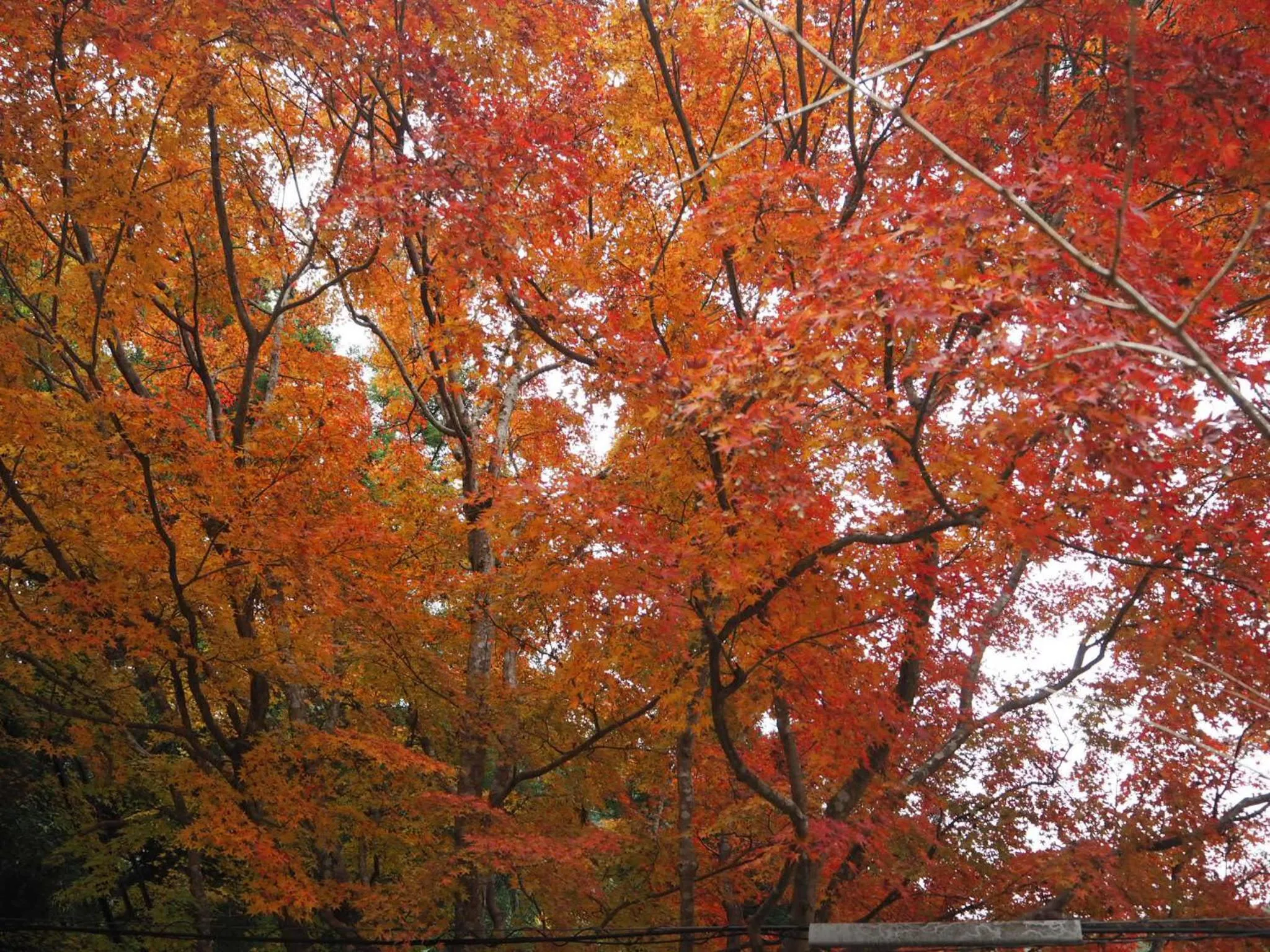 Other in Hotel Woo (Adults Only)