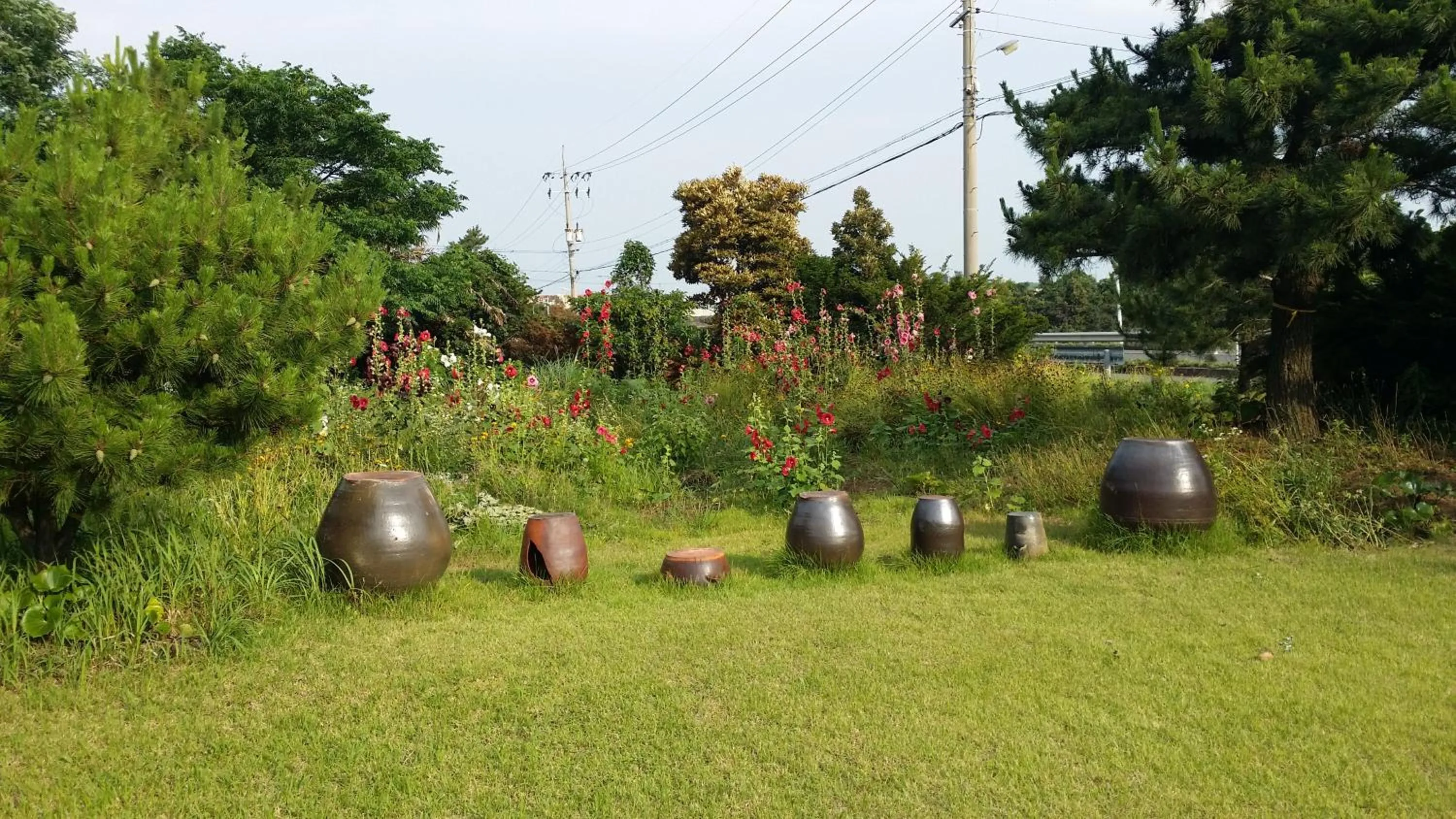 Garden in Jun House