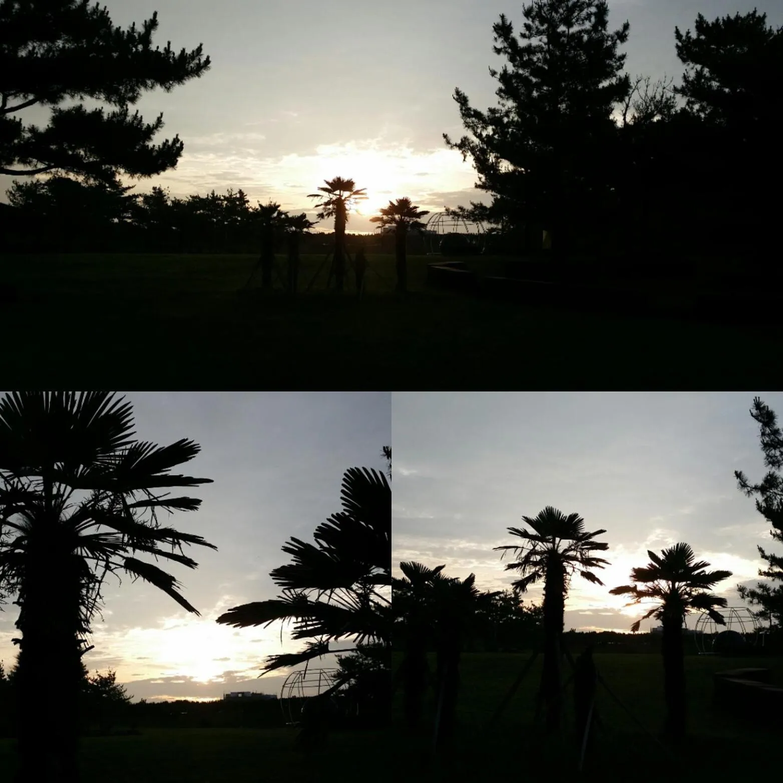 Sunrise in Jun House