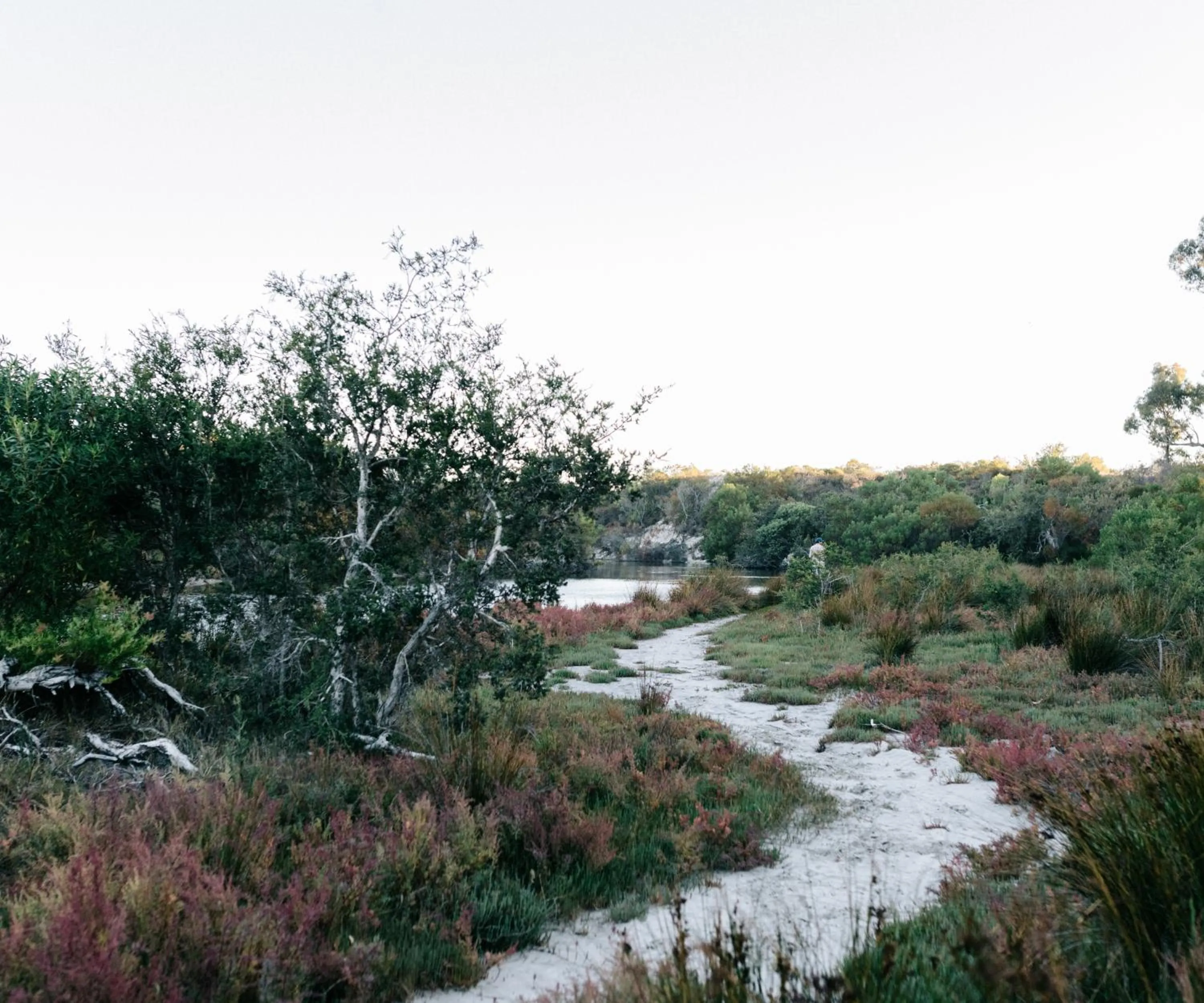 Natural landscape in Esperance Chalet Village
