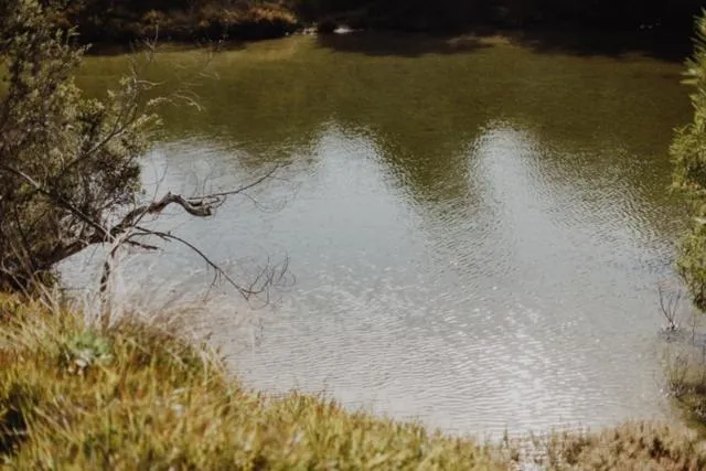 Natural landscape in Esperance Chalet Village
