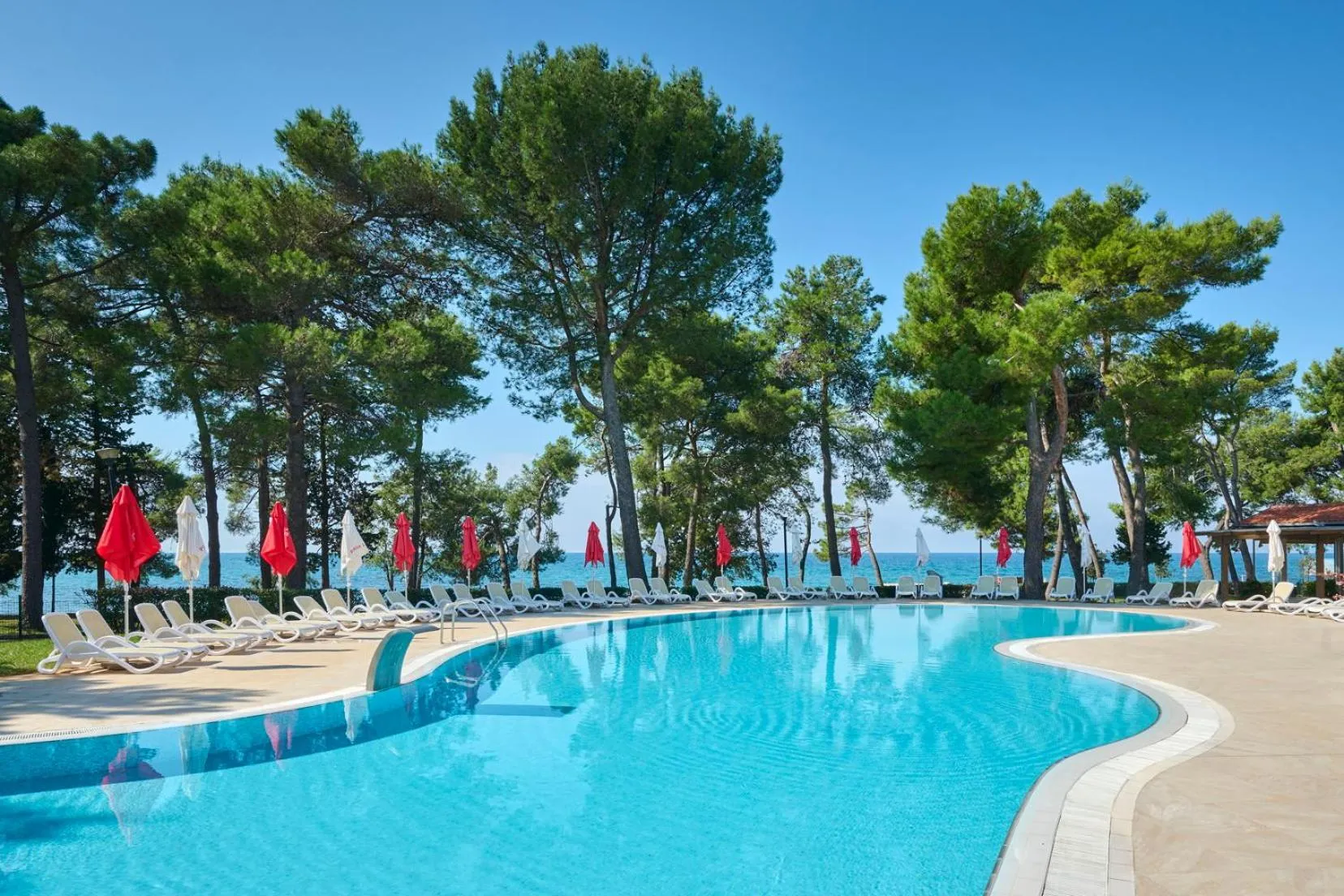Swimming pool in Hotel Aurora Plava Laguna