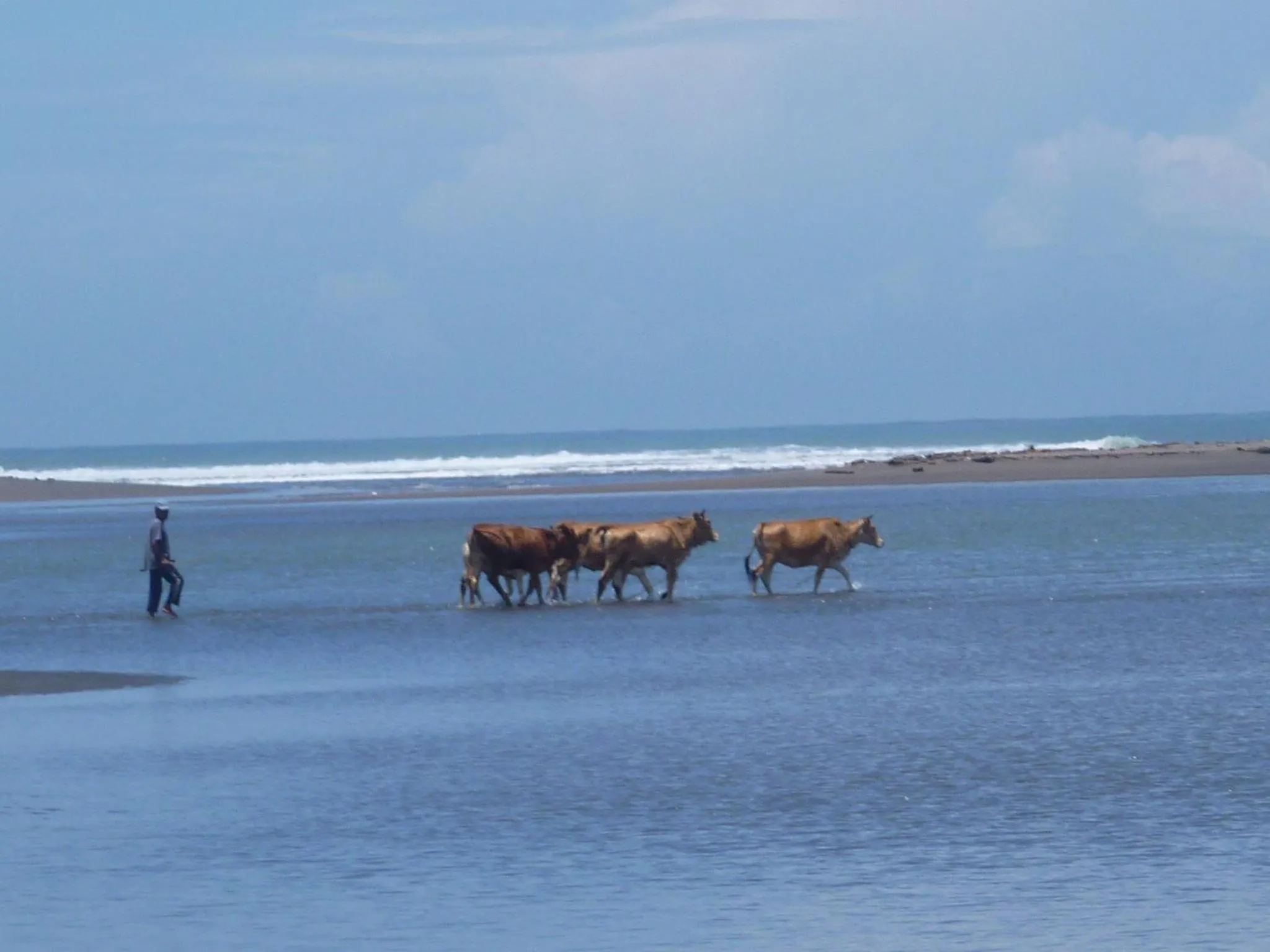 Natural landscape in Java Lagoon
