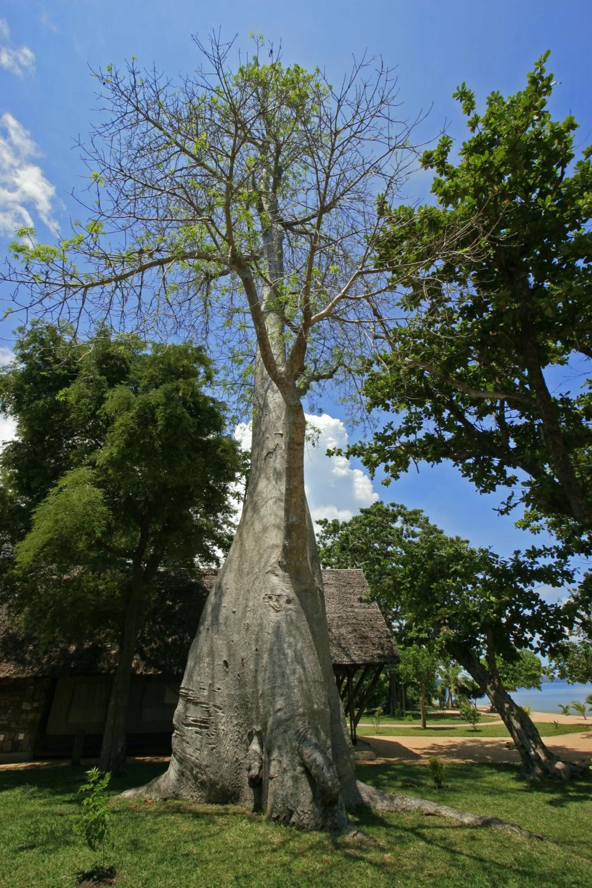 Garden in Eden Lodge