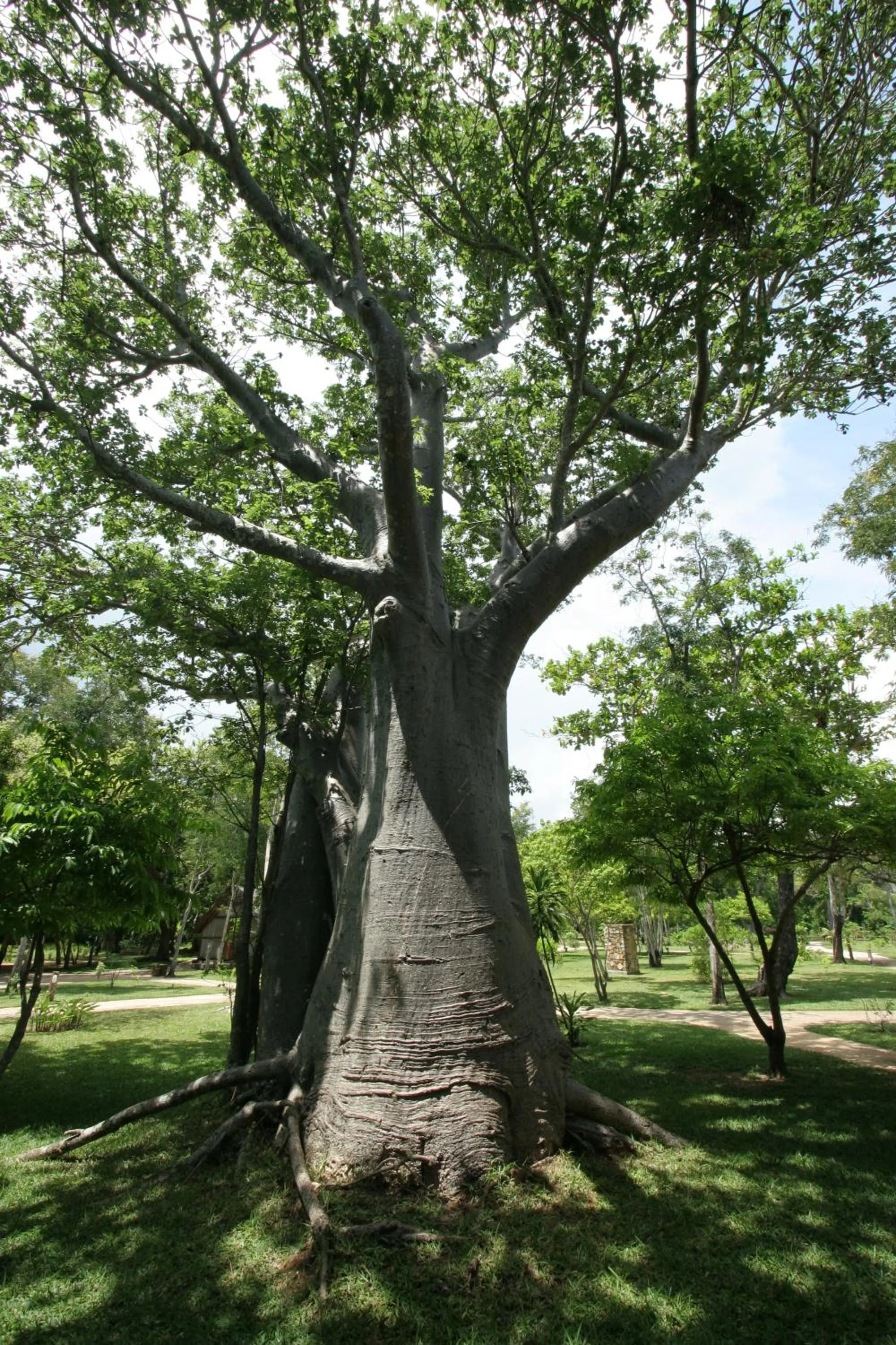 Garden in Eden Lodge