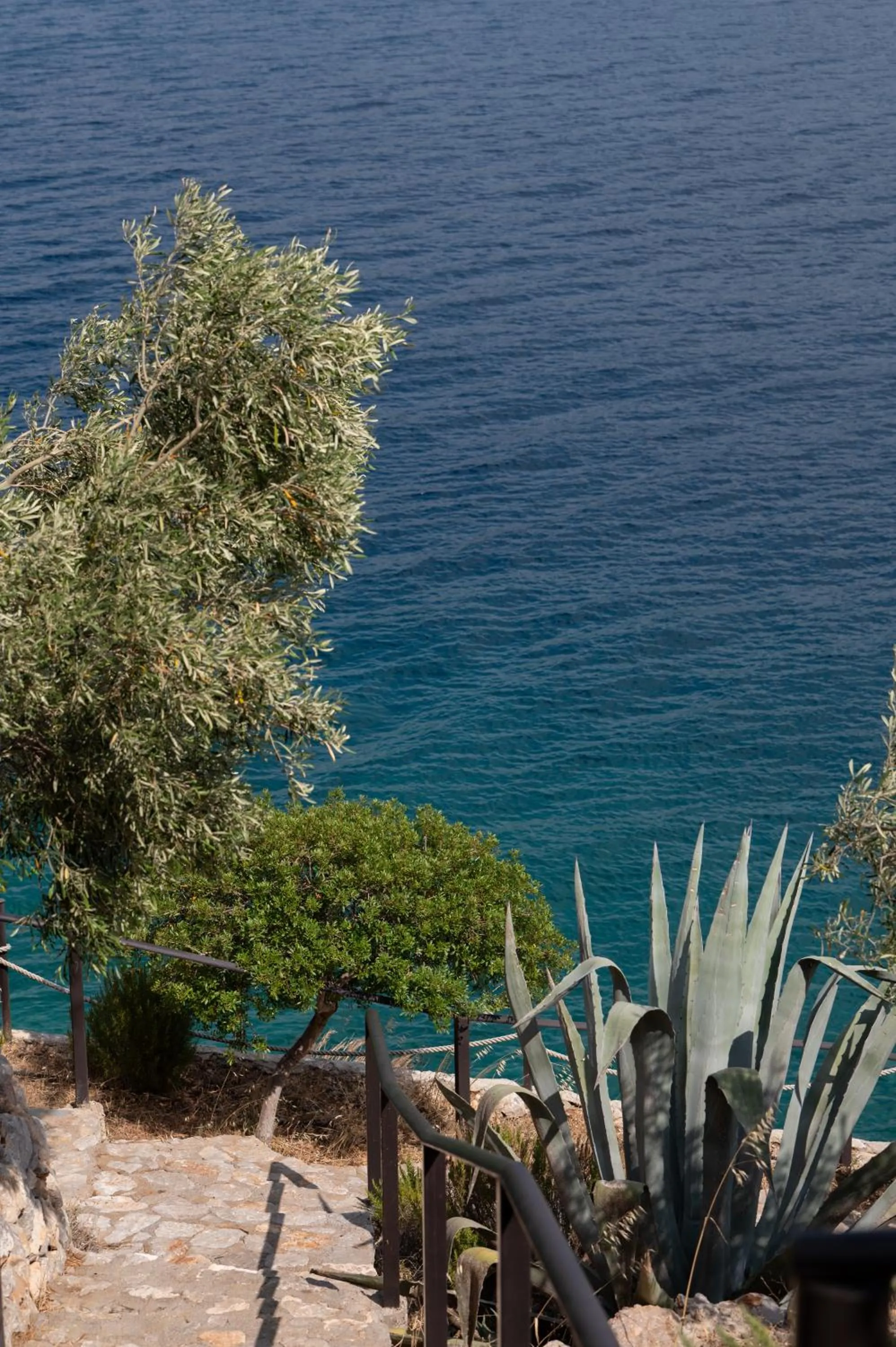 Natural landscape in Agrilia Koromili Retreat