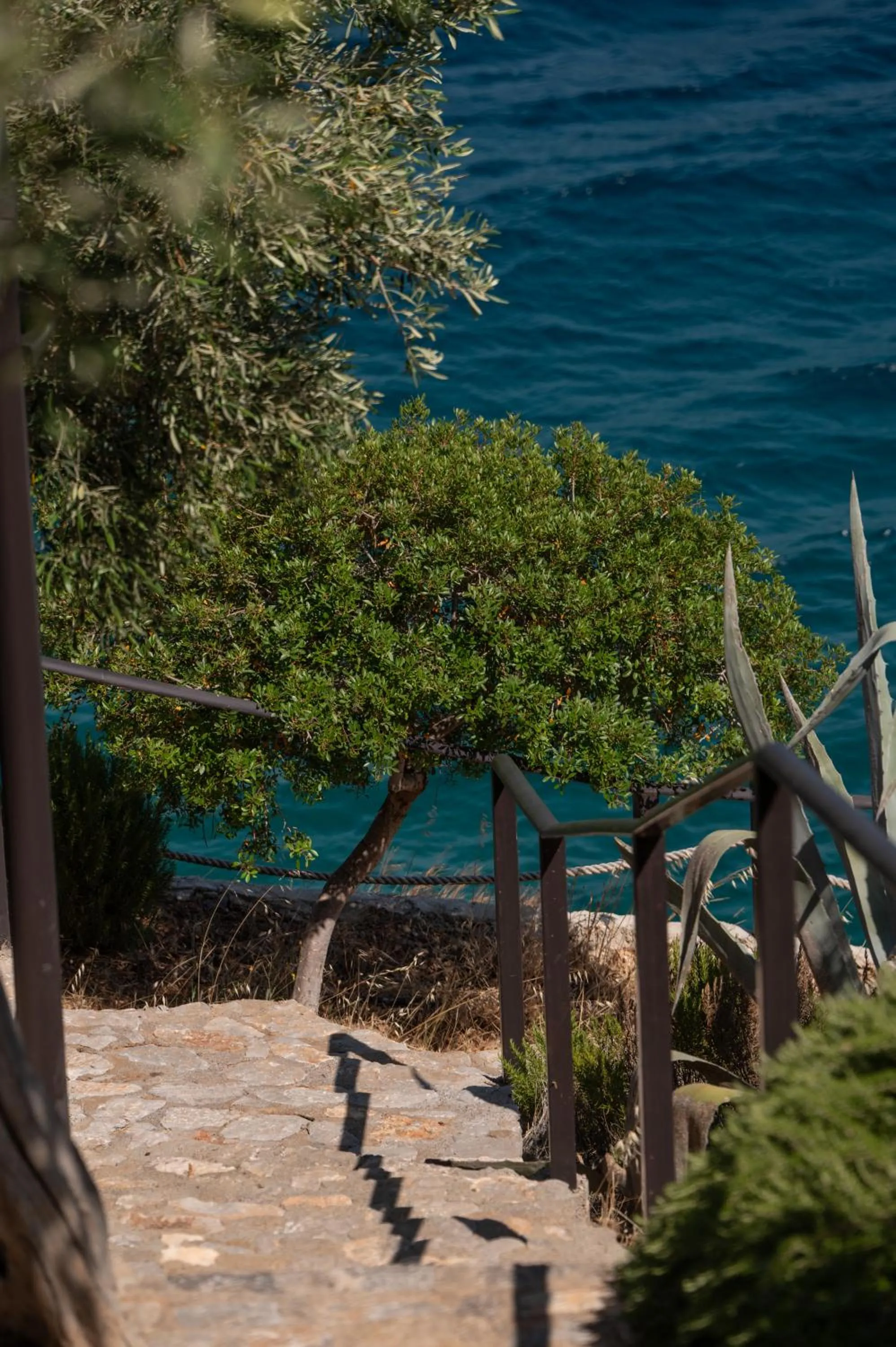 Natural landscape in Agrilia Koromili Retreat