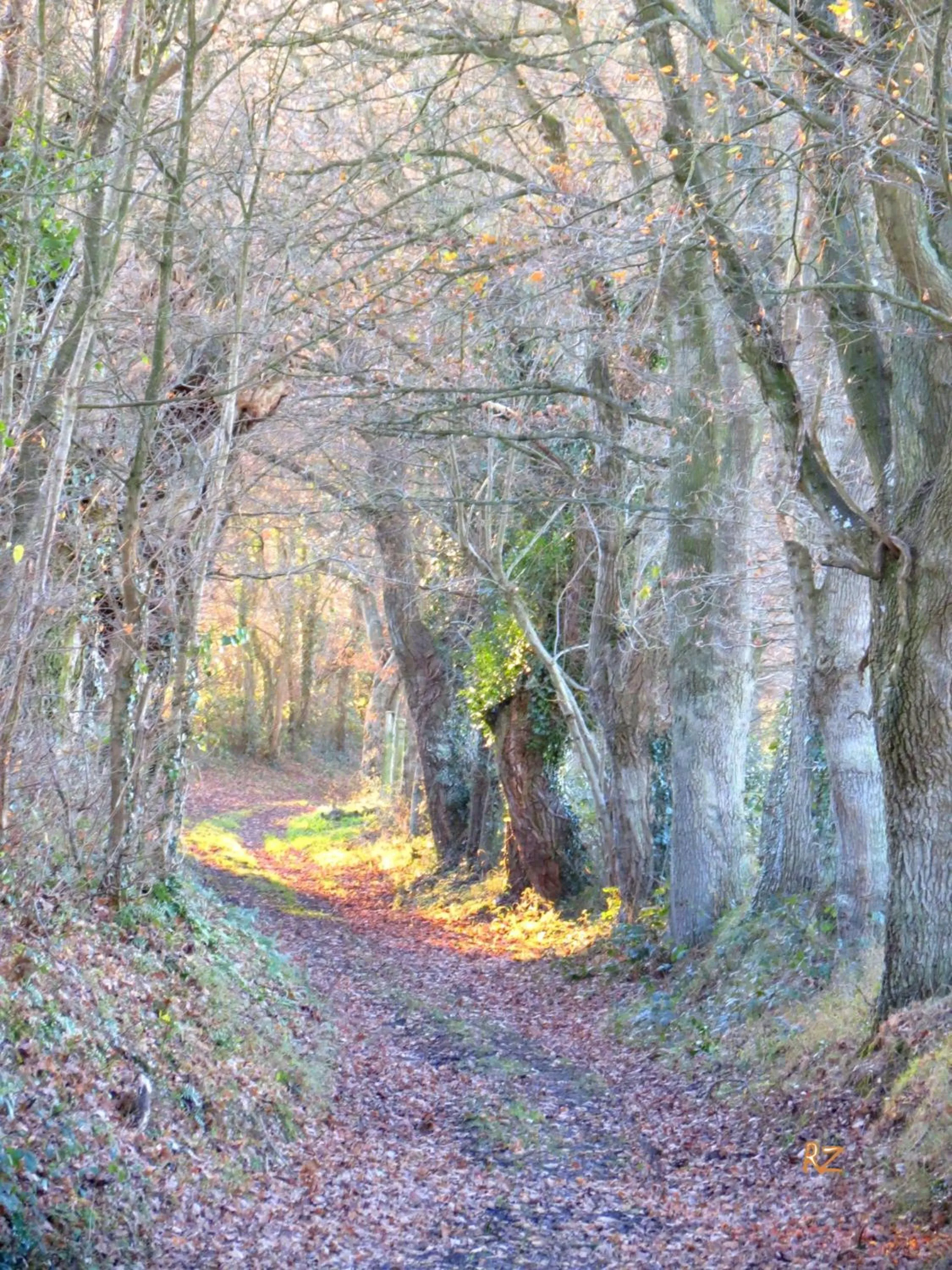 Neighbourhood in Le Chant Des Fees
