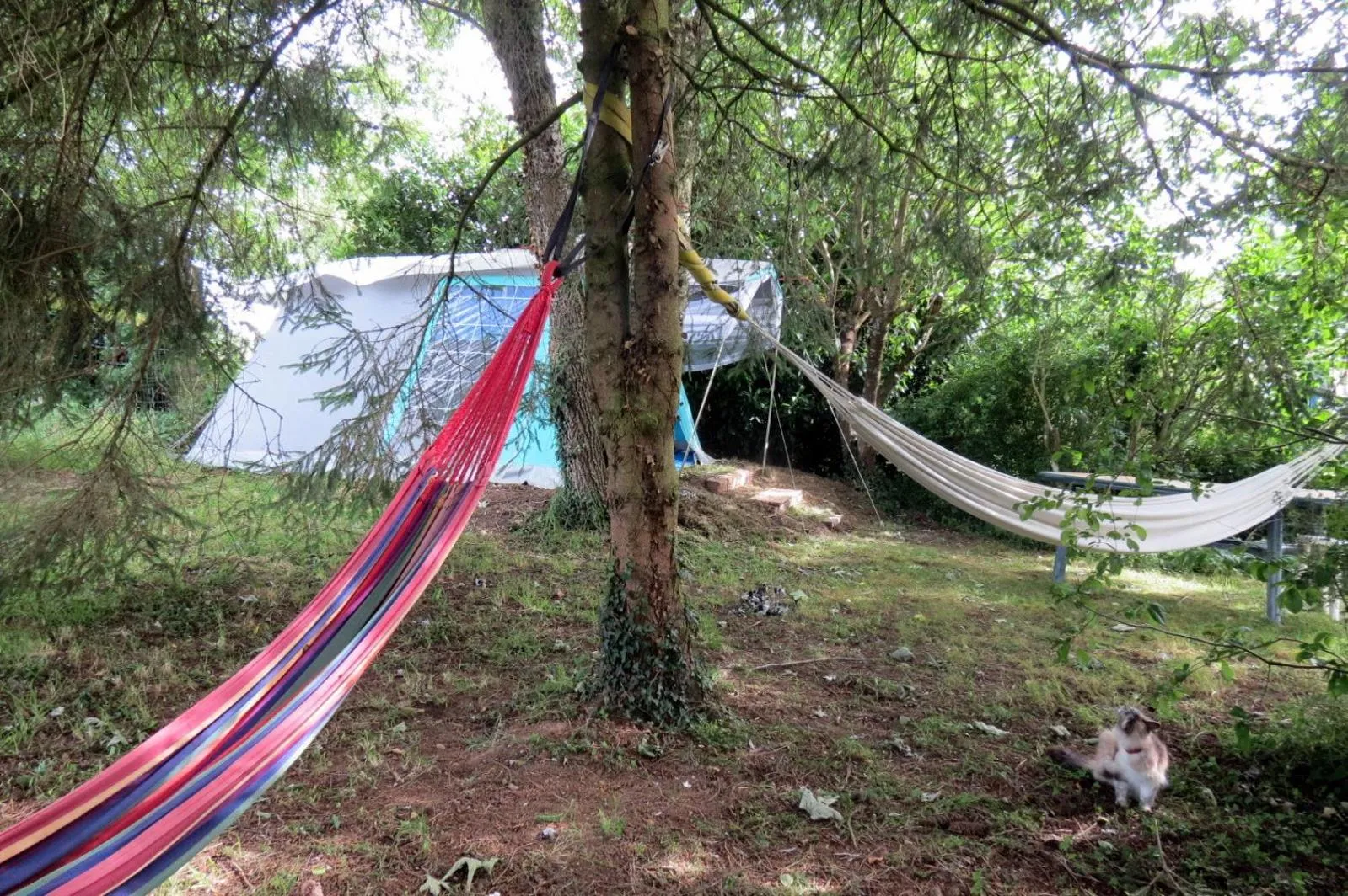 Activities in Le Chant Des Fees