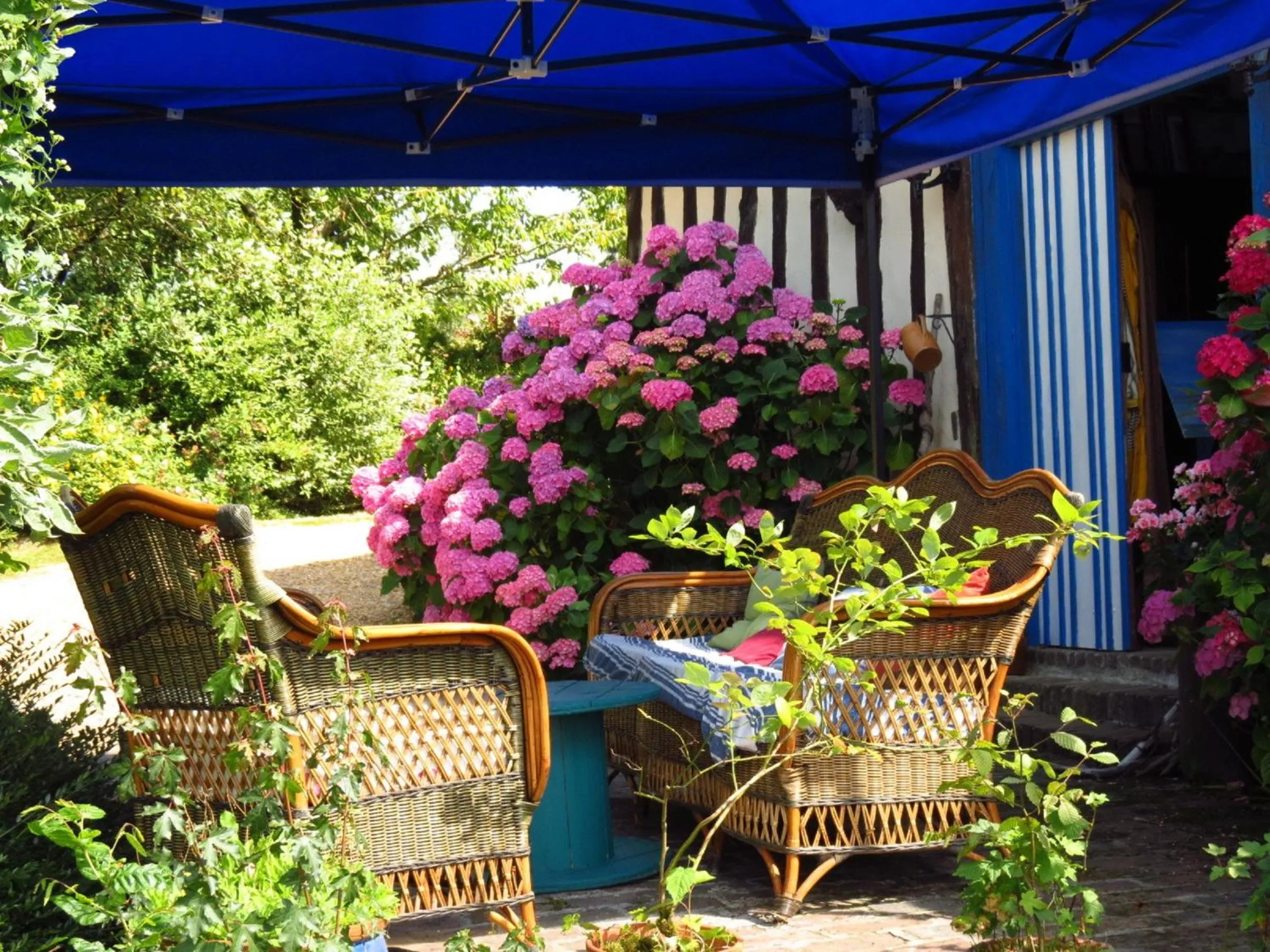 Summer in Le Chant Des Fees