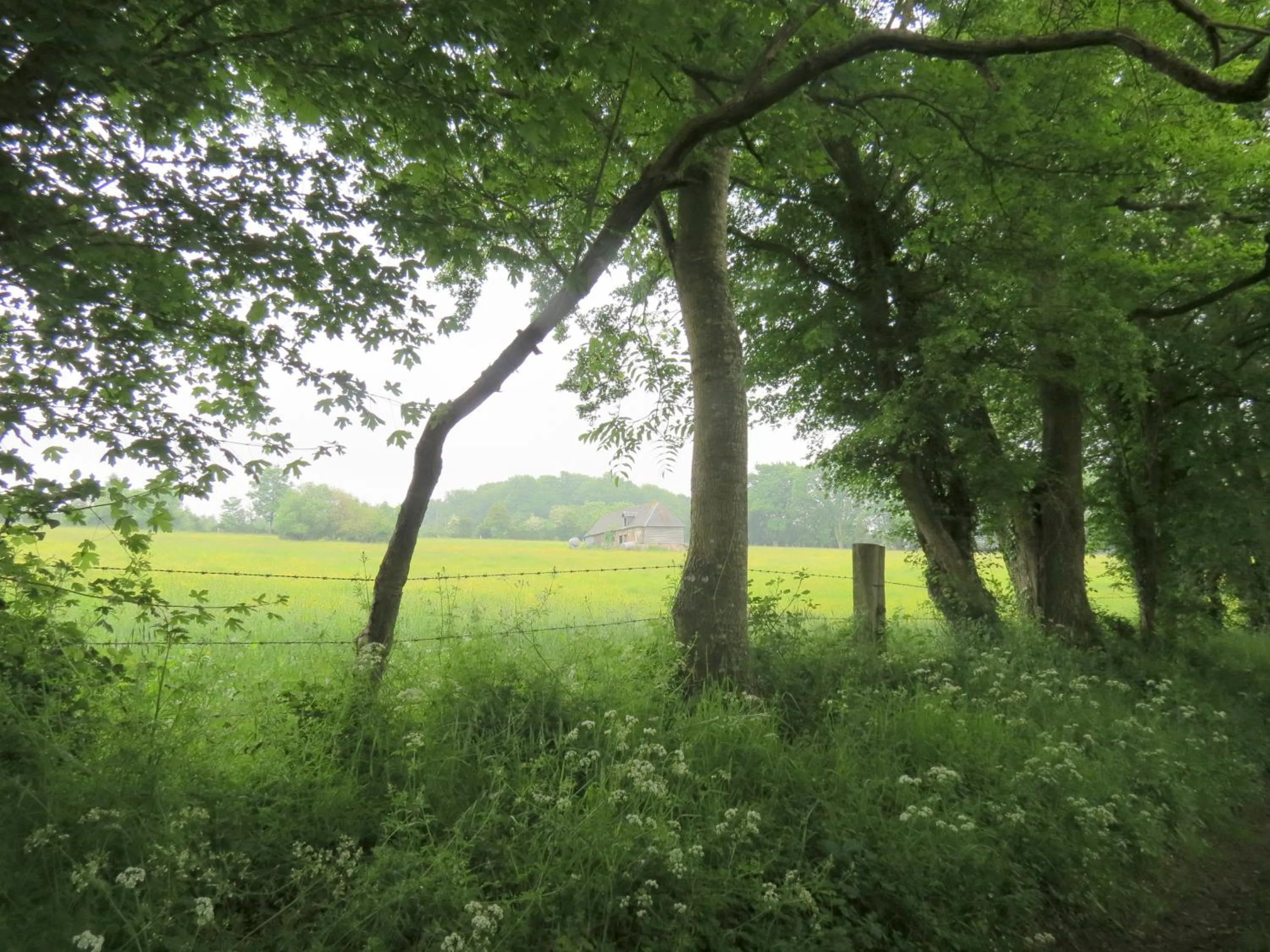 Neighbourhood in Le Chant Des Fees