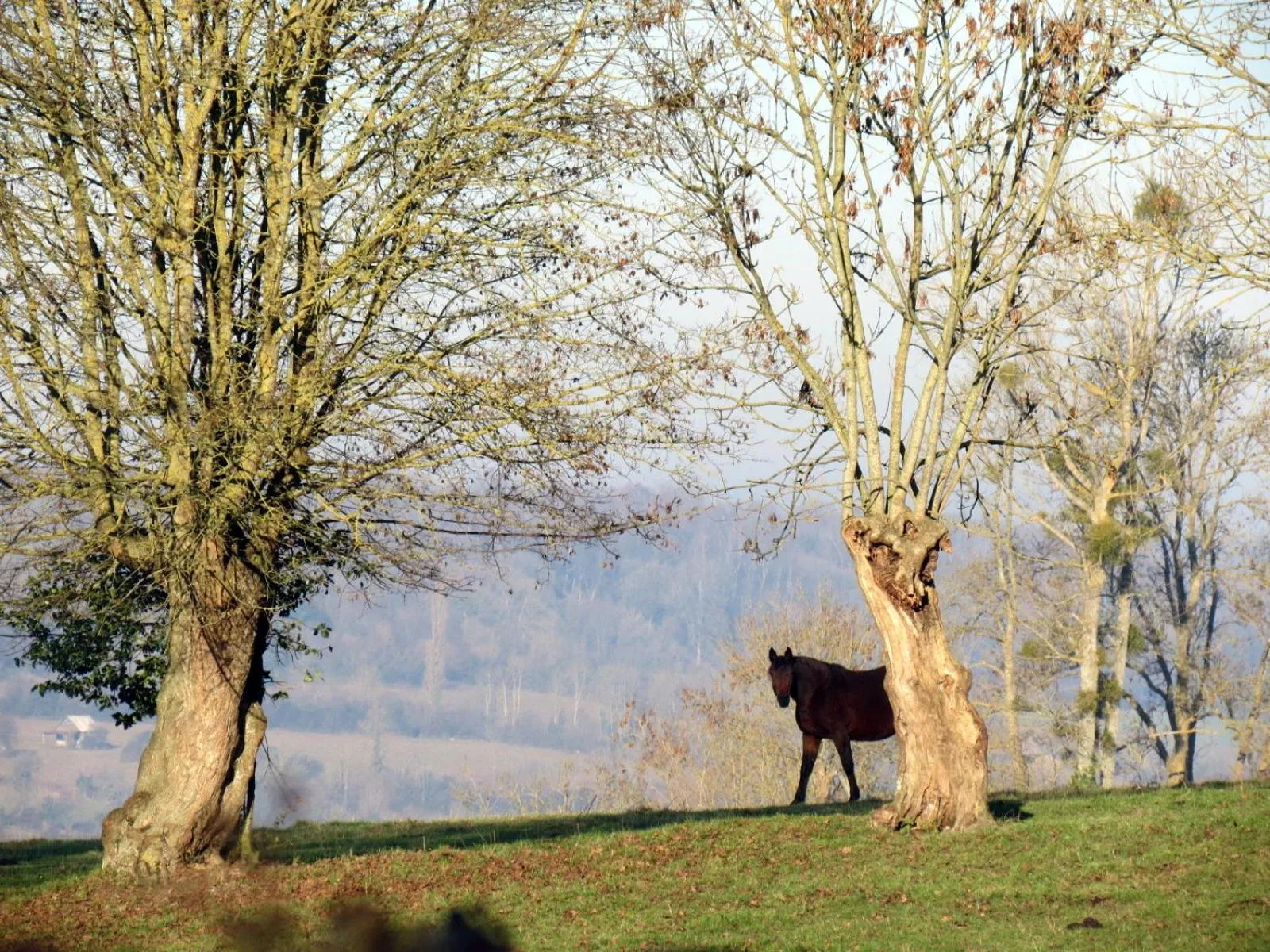 Activities in Le Chant Des Fees