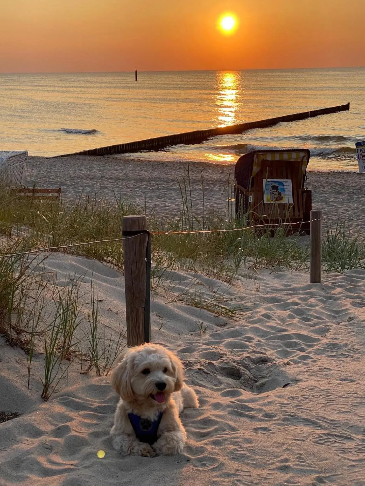 Residenz Lausitz - Apartments für Urlaub mit Hund Residenz Lausitz - Apartments für Urlaub mit Hund