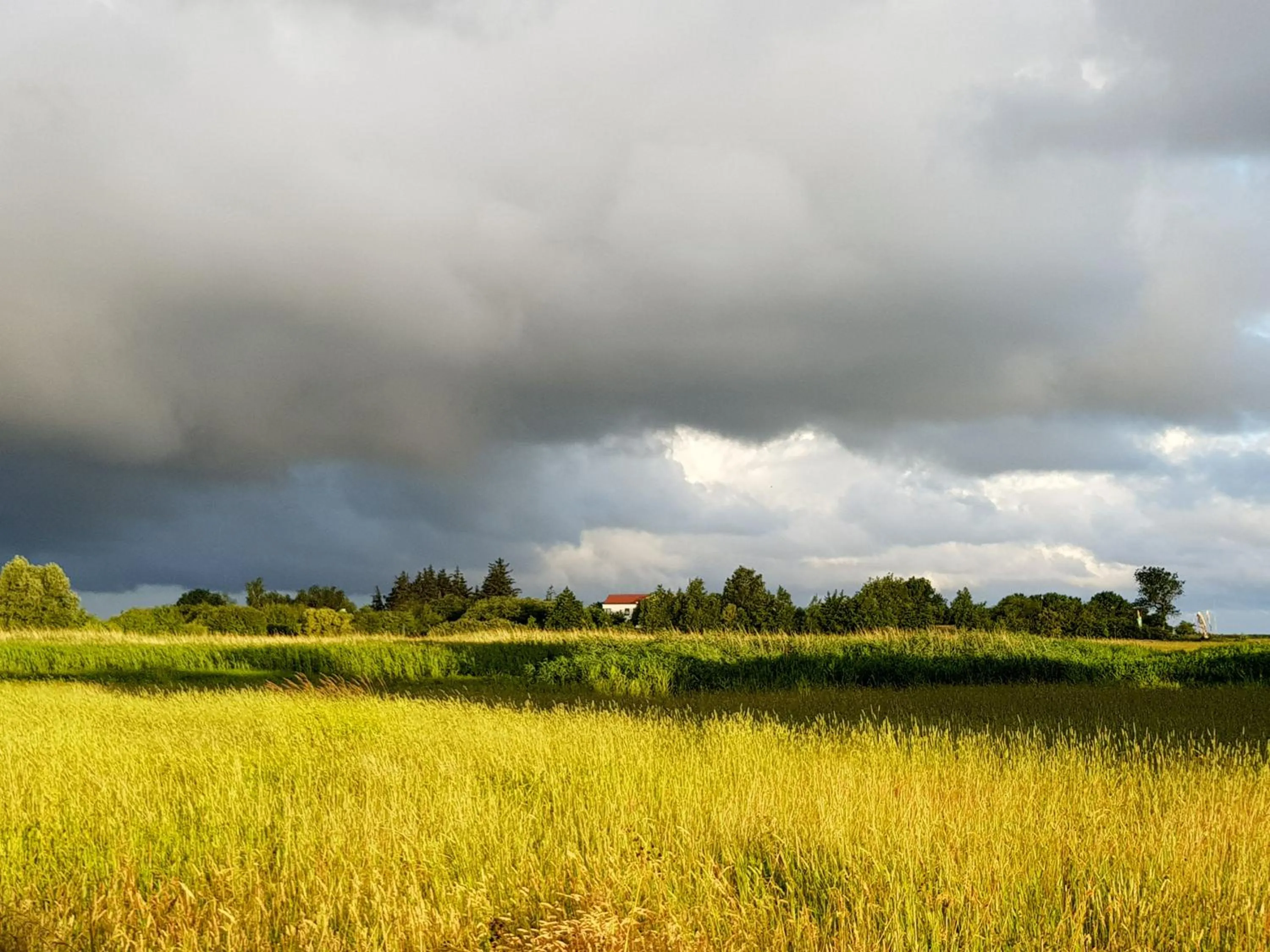Natural landscape in Haus Achtern Diek in erster Reihe am Meer