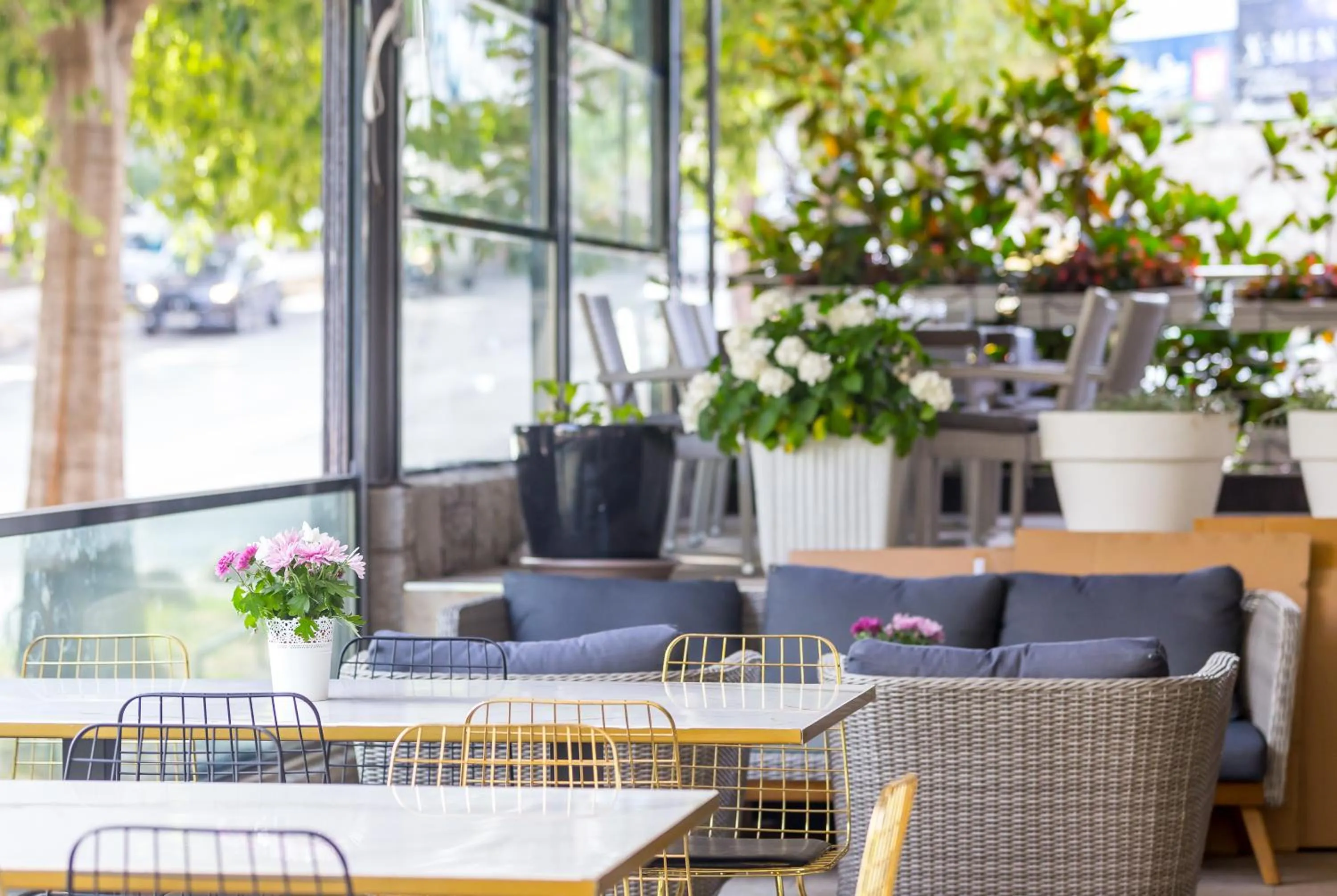 Restaurant/places to eat in Art Hotel