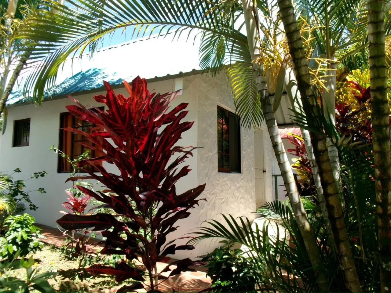 Garden in Rainforest Yasmin Hotel