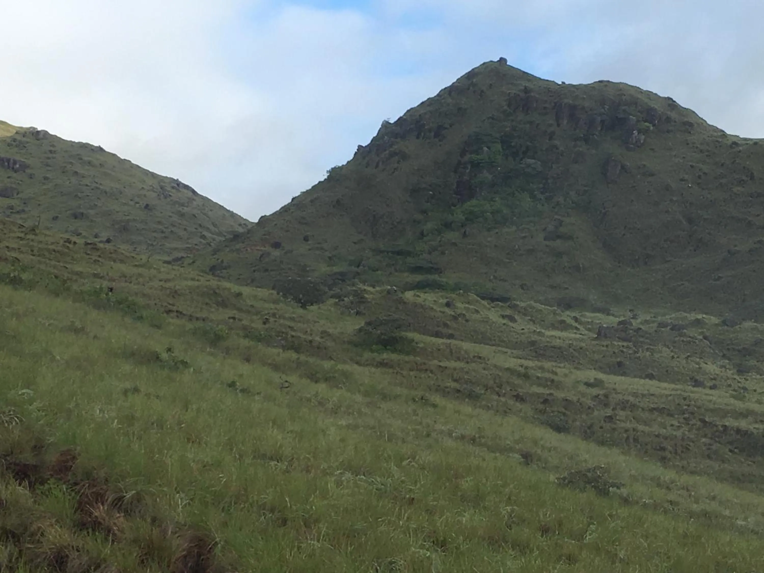 Rainforest Yasmin Hotel