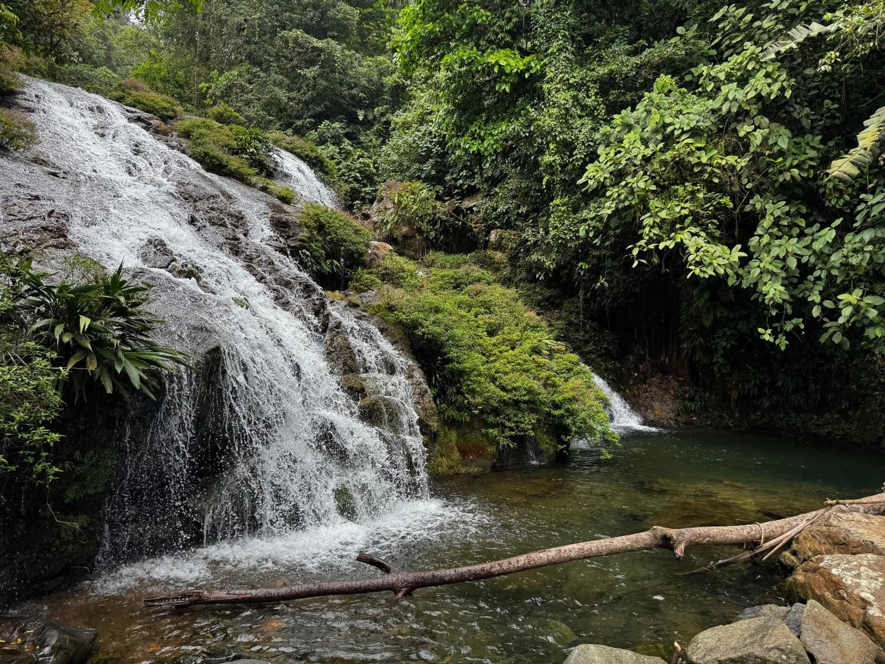 Natural landscape in Rainforest Yasmin Hotel
