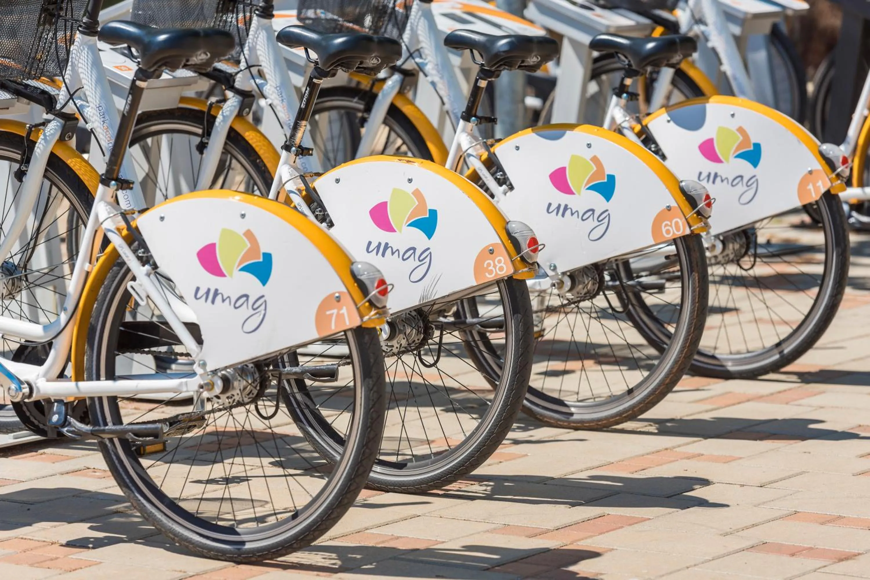 Cycling in Apartments Stella Plava Laguna