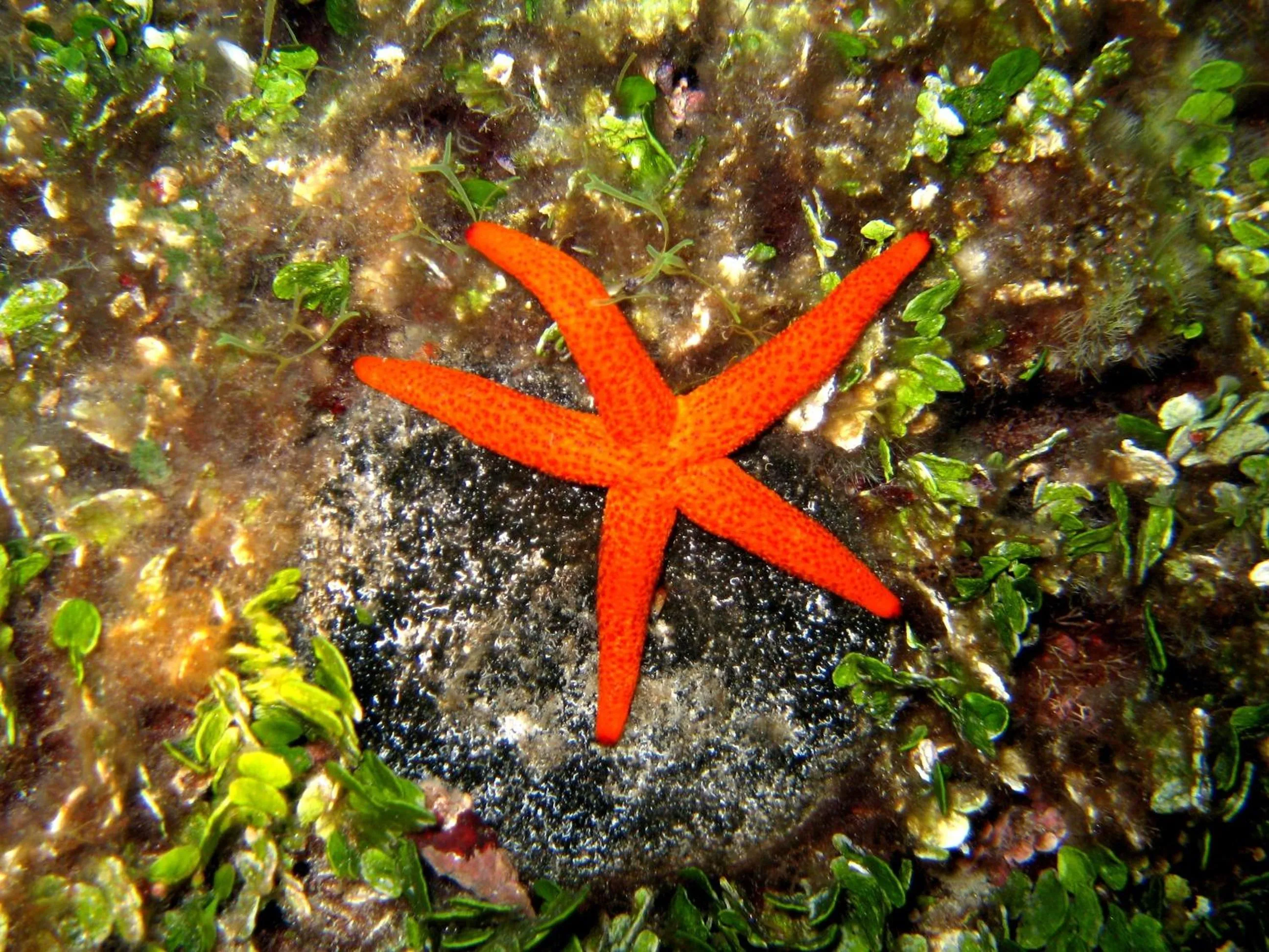 Other in Hotel Priscapac Resort & Apartments