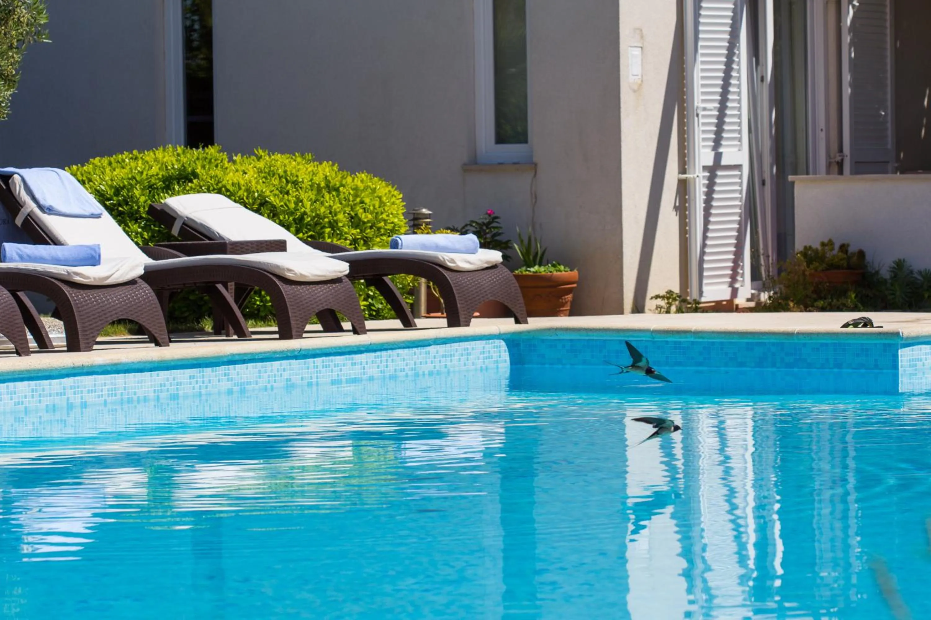 Swimming pool in Hotel Manora