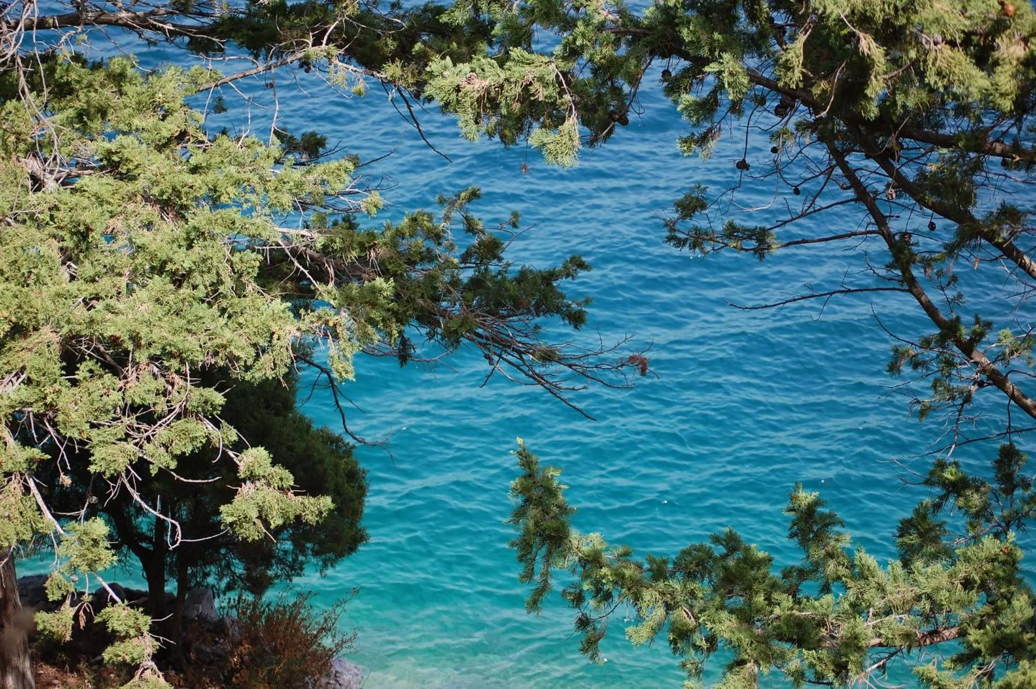 Natural landscape in Hotel Odisej