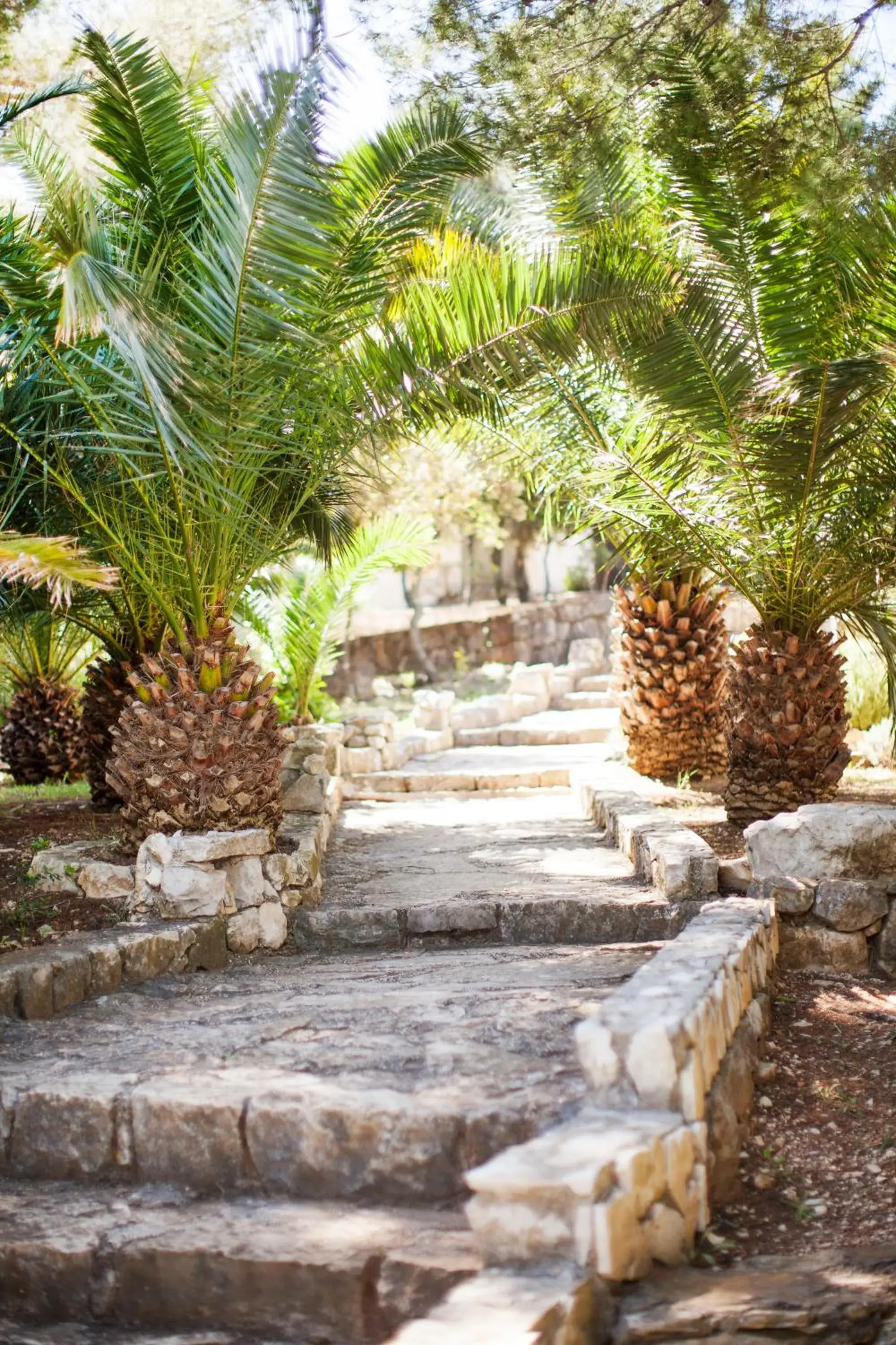 Hotel Odisej Hotel Odisej