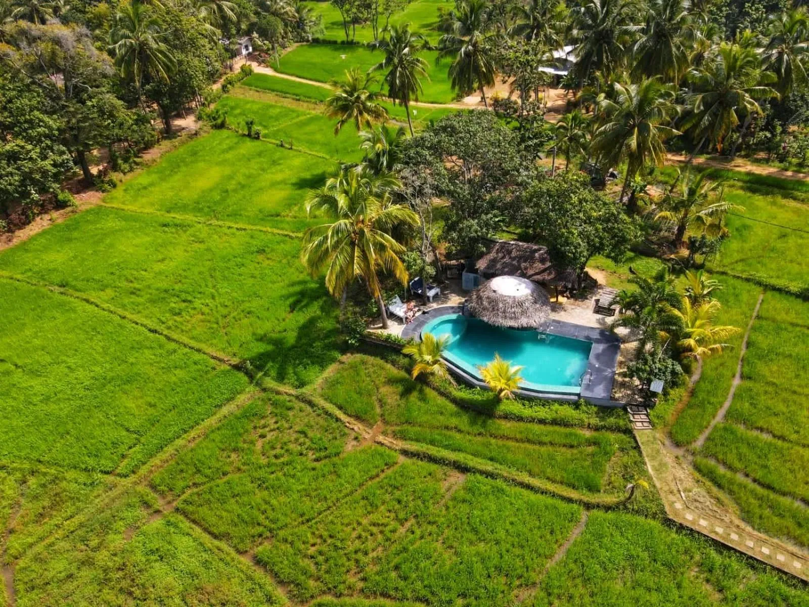 Nelu Villa Sigiriya