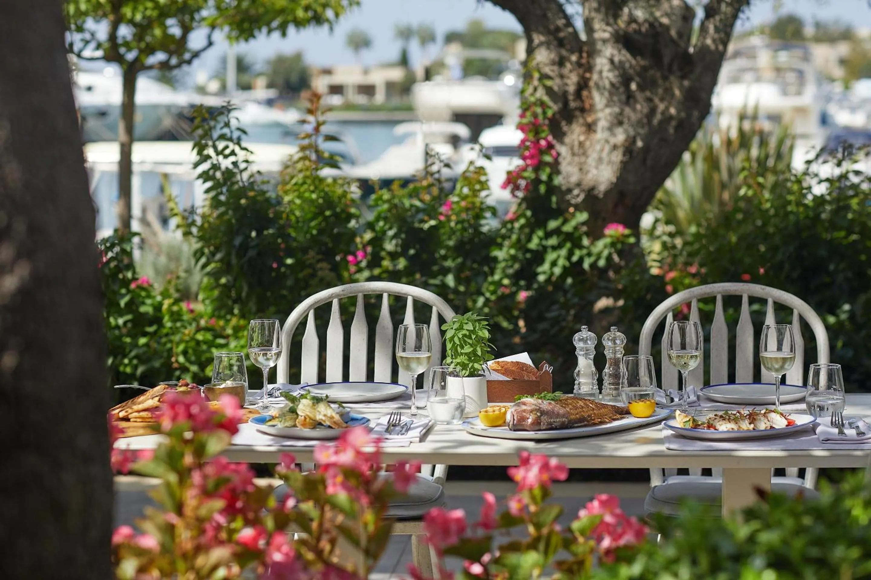 Restaurant/places to eat in Sani Dunes