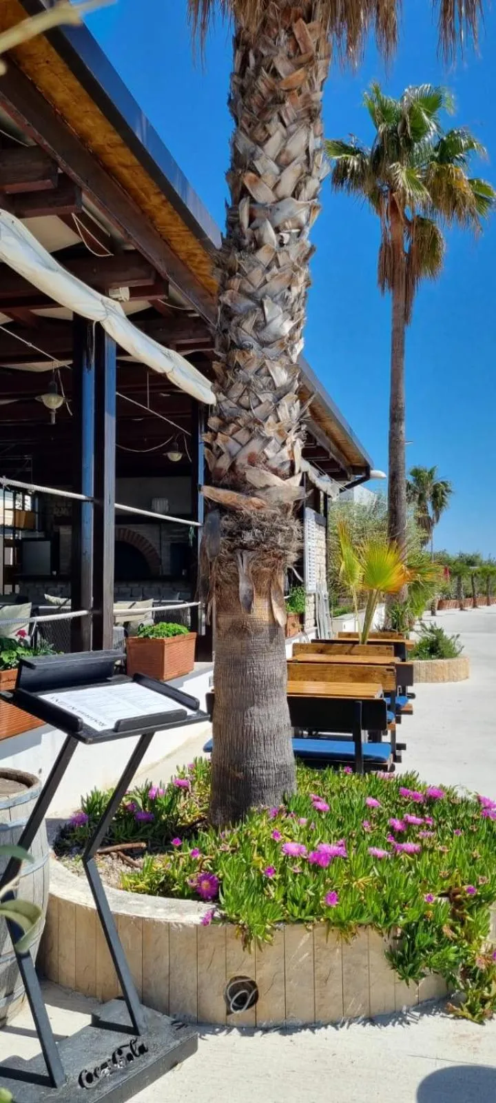 Patio in Hotel San Antonio