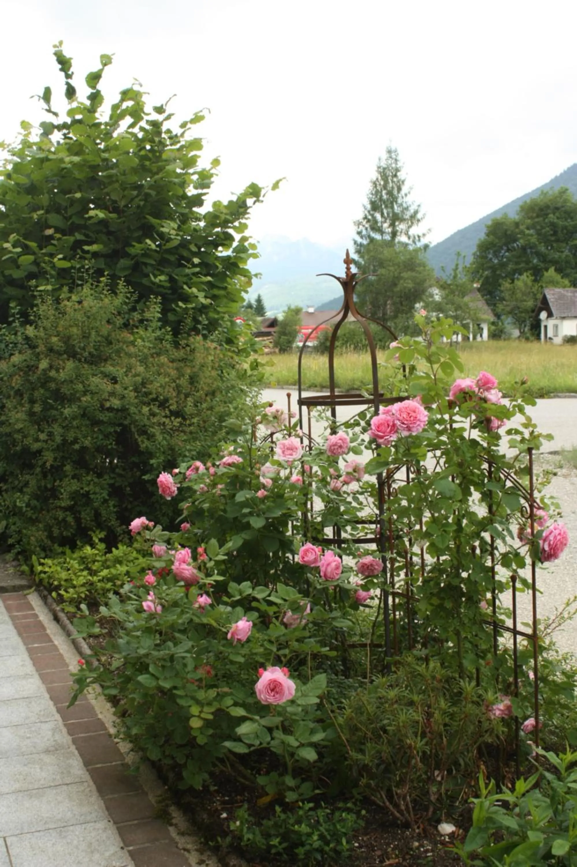 Street view in Landlust Ischl
