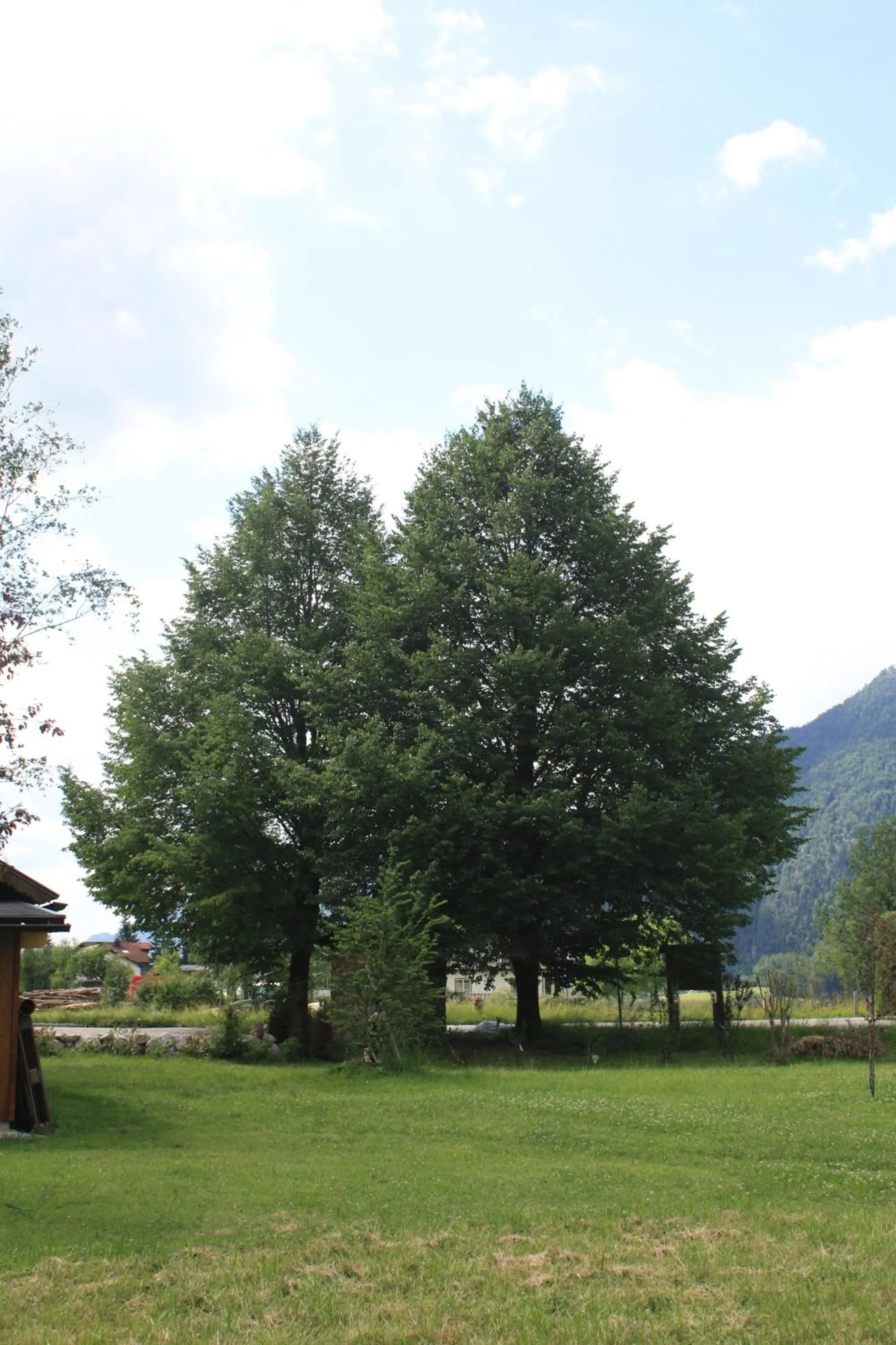 Garden in Landlust Ischl