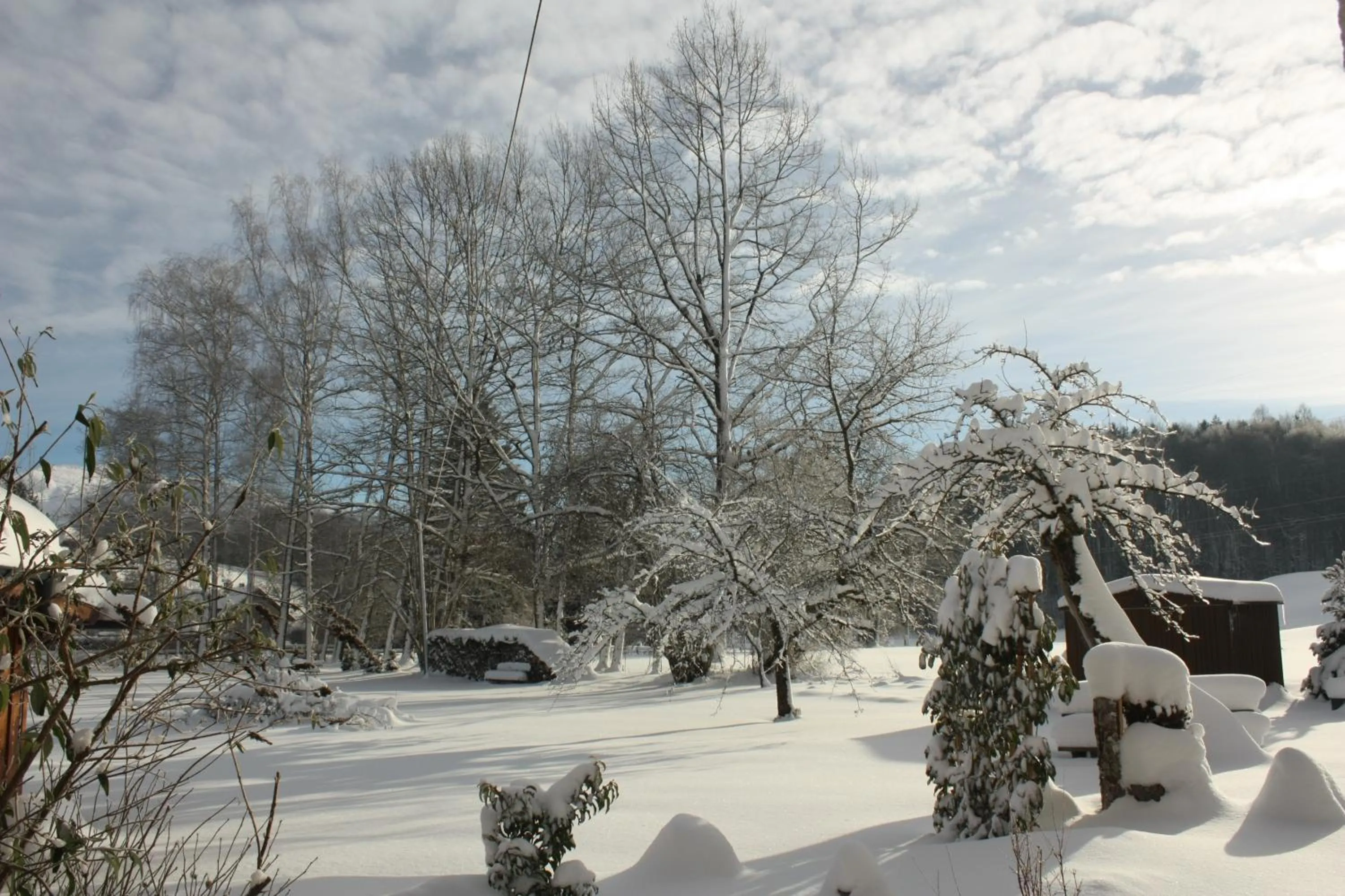 Natural landscape in Landlust Ischl