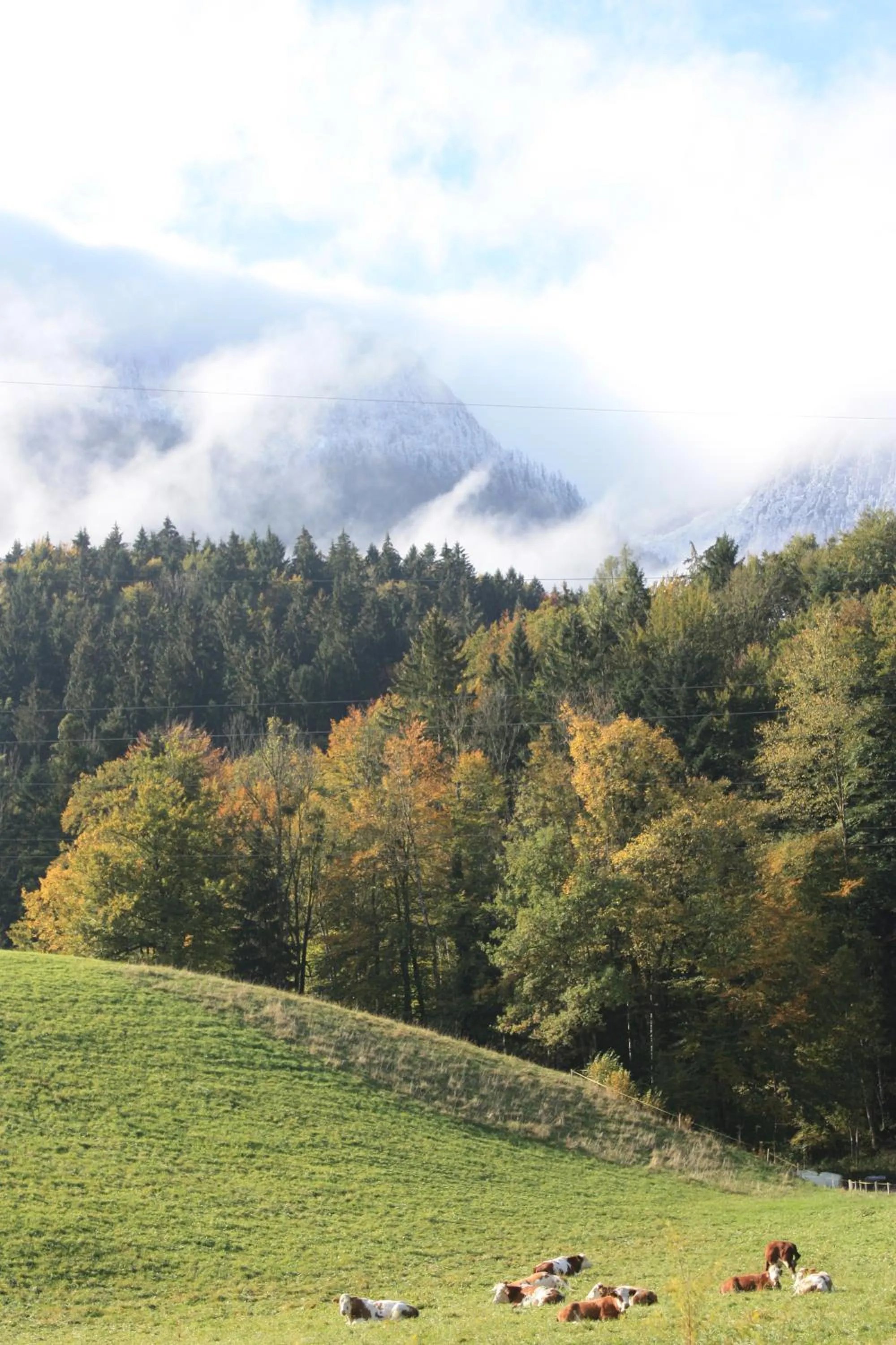 Mountain view in Landlust Ischl
