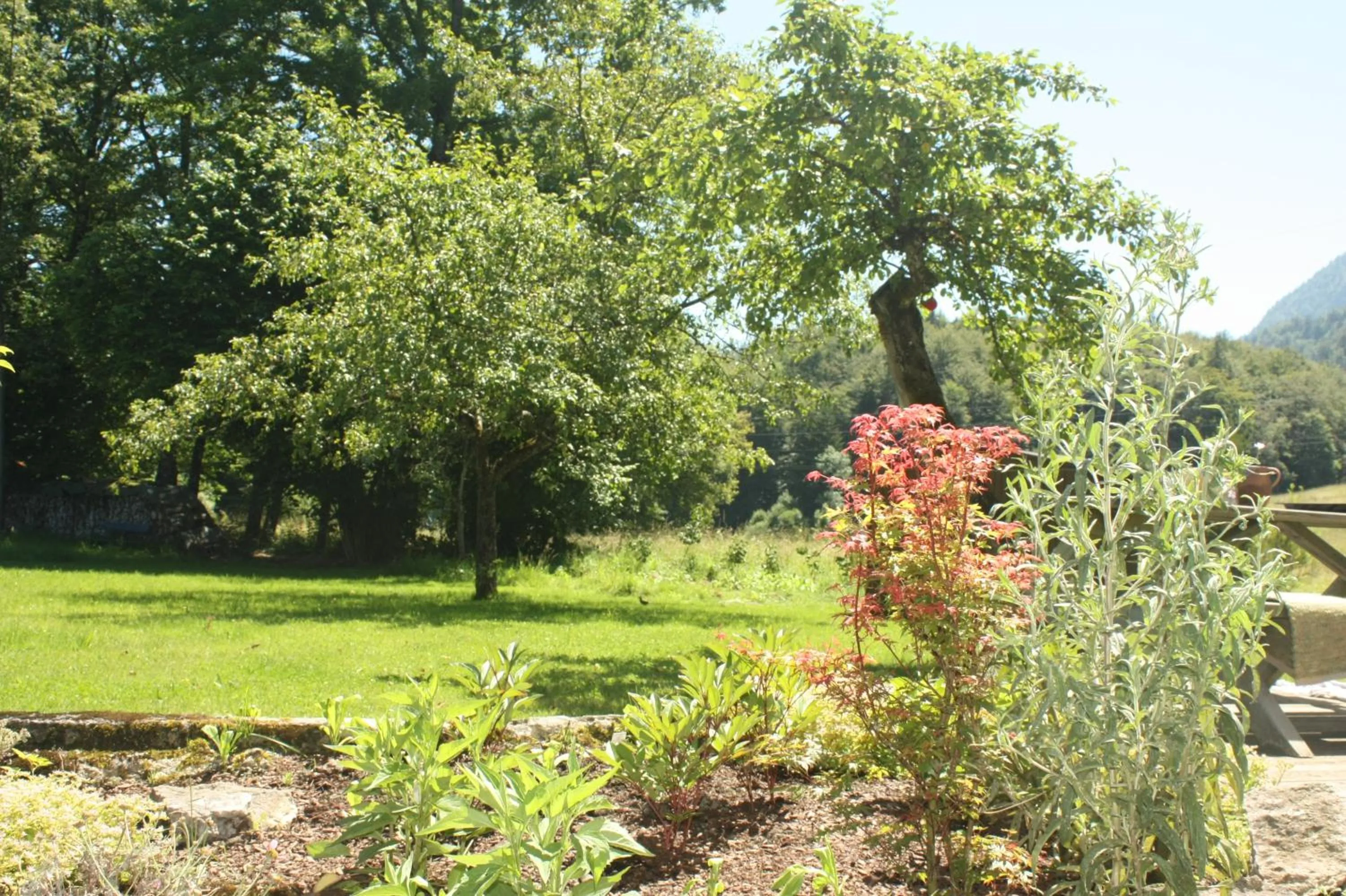 Garden view in Landlust Ischl