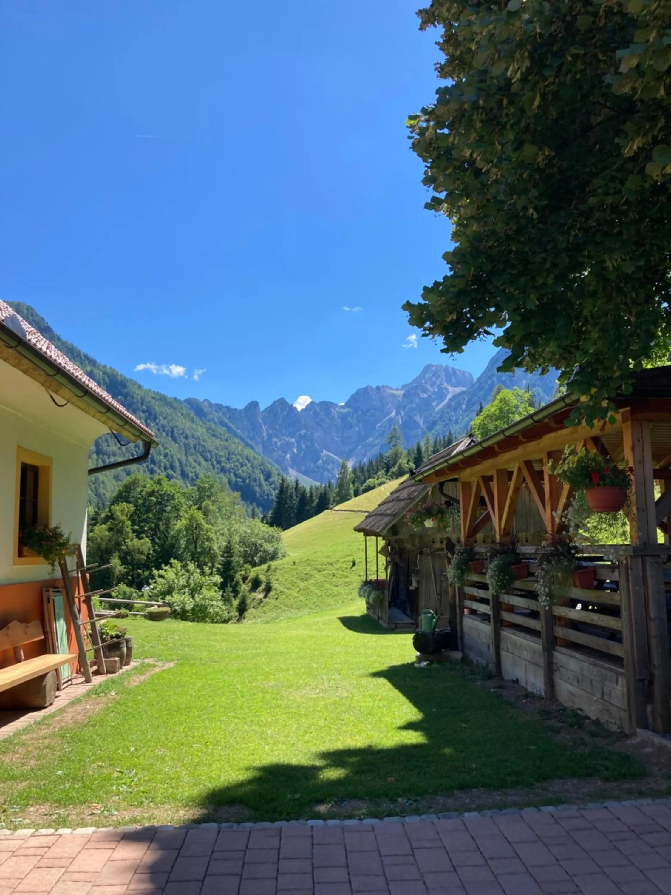 Natural landscape in Tourist farm Gradišnik