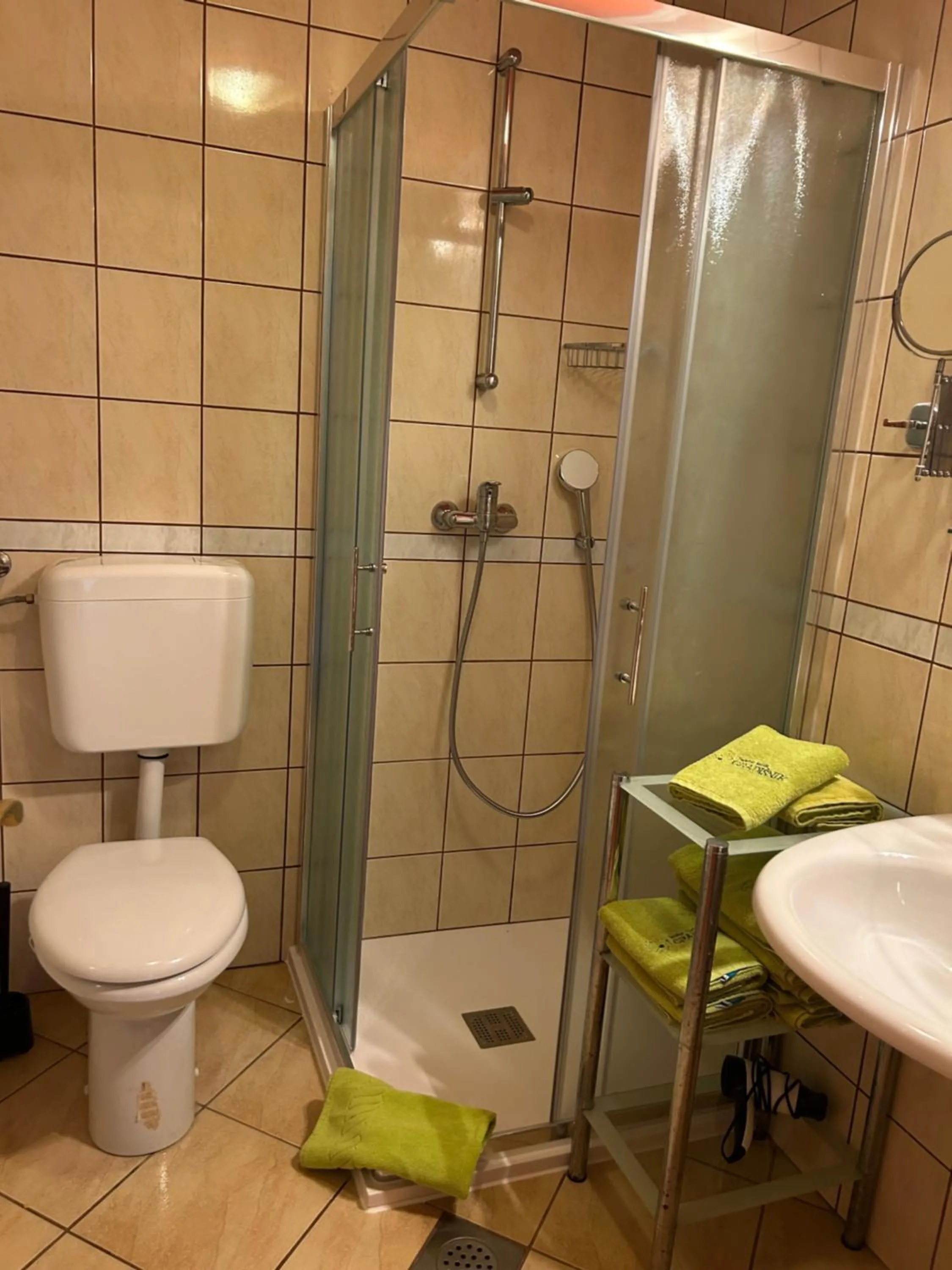 Shower in Tourist farm Gradišnik
