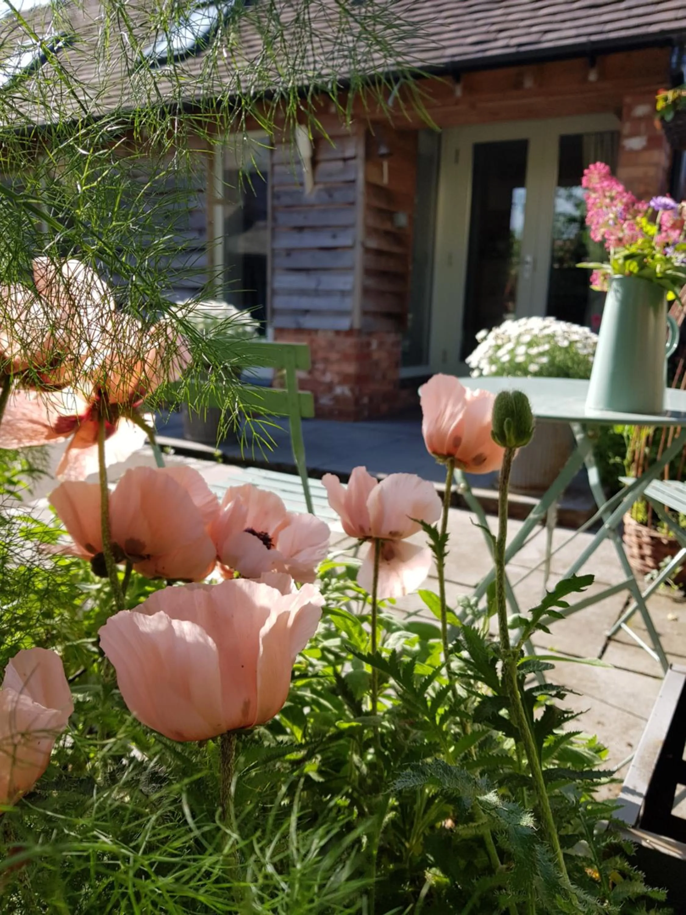 Garden view in The Dorm Bed and Breakfast