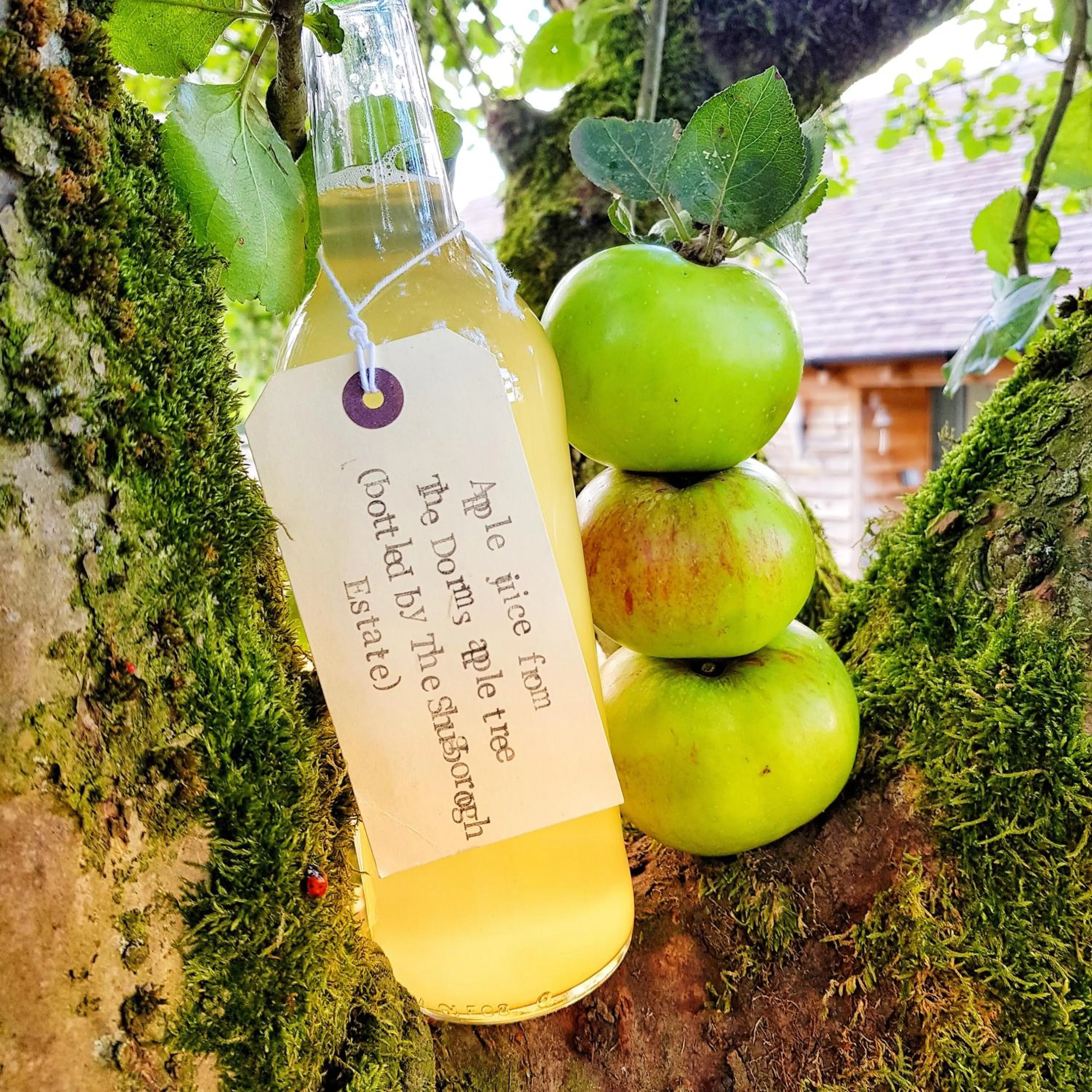 Non alcoholic drinks in The Dorm Bed and Breakfast