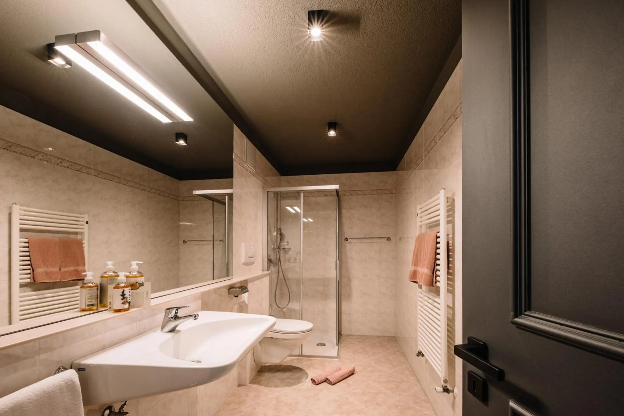 Shower in Panoramic Suites Winzerhöhe