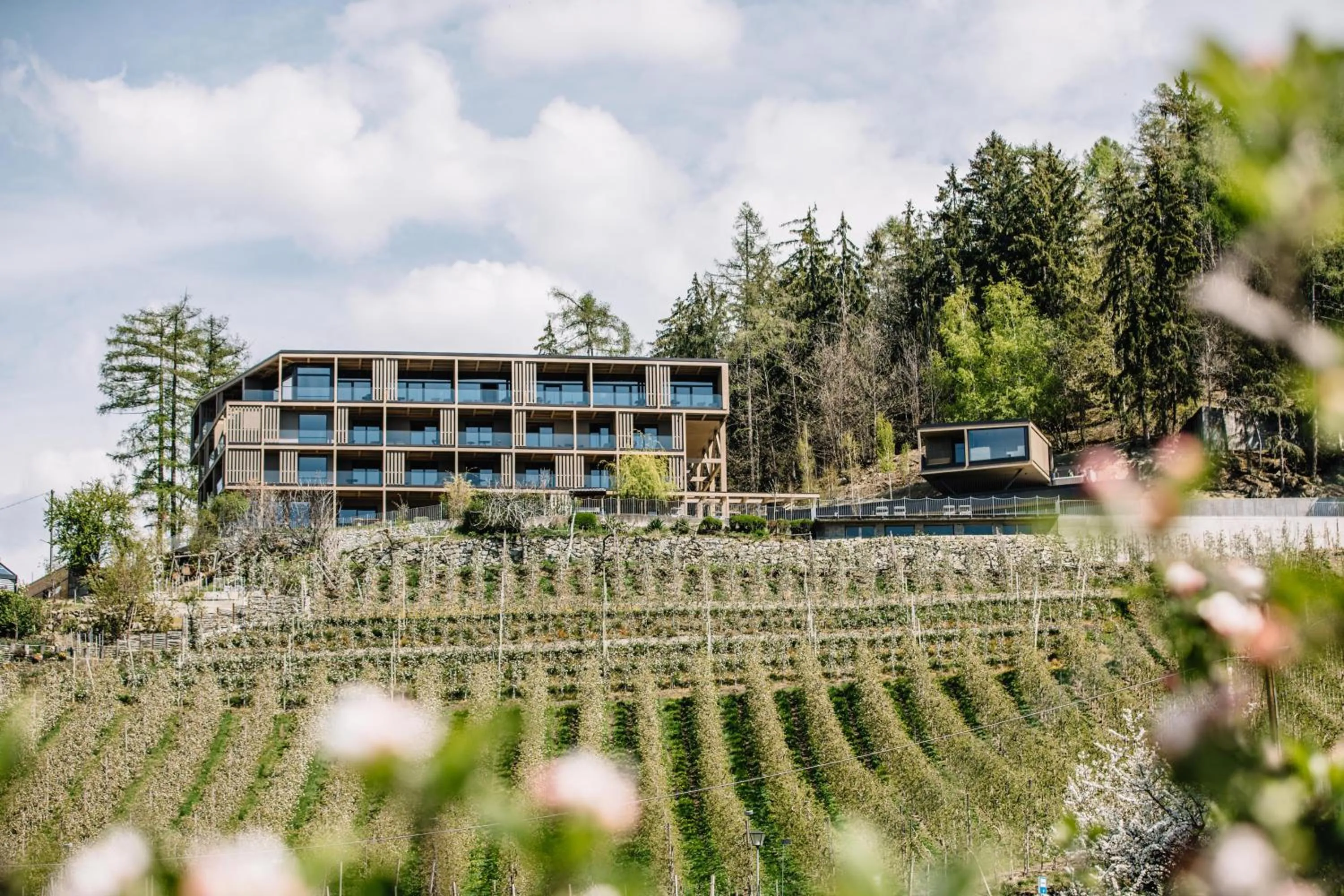 Property building in Panoramic Suites Winzerhöhe