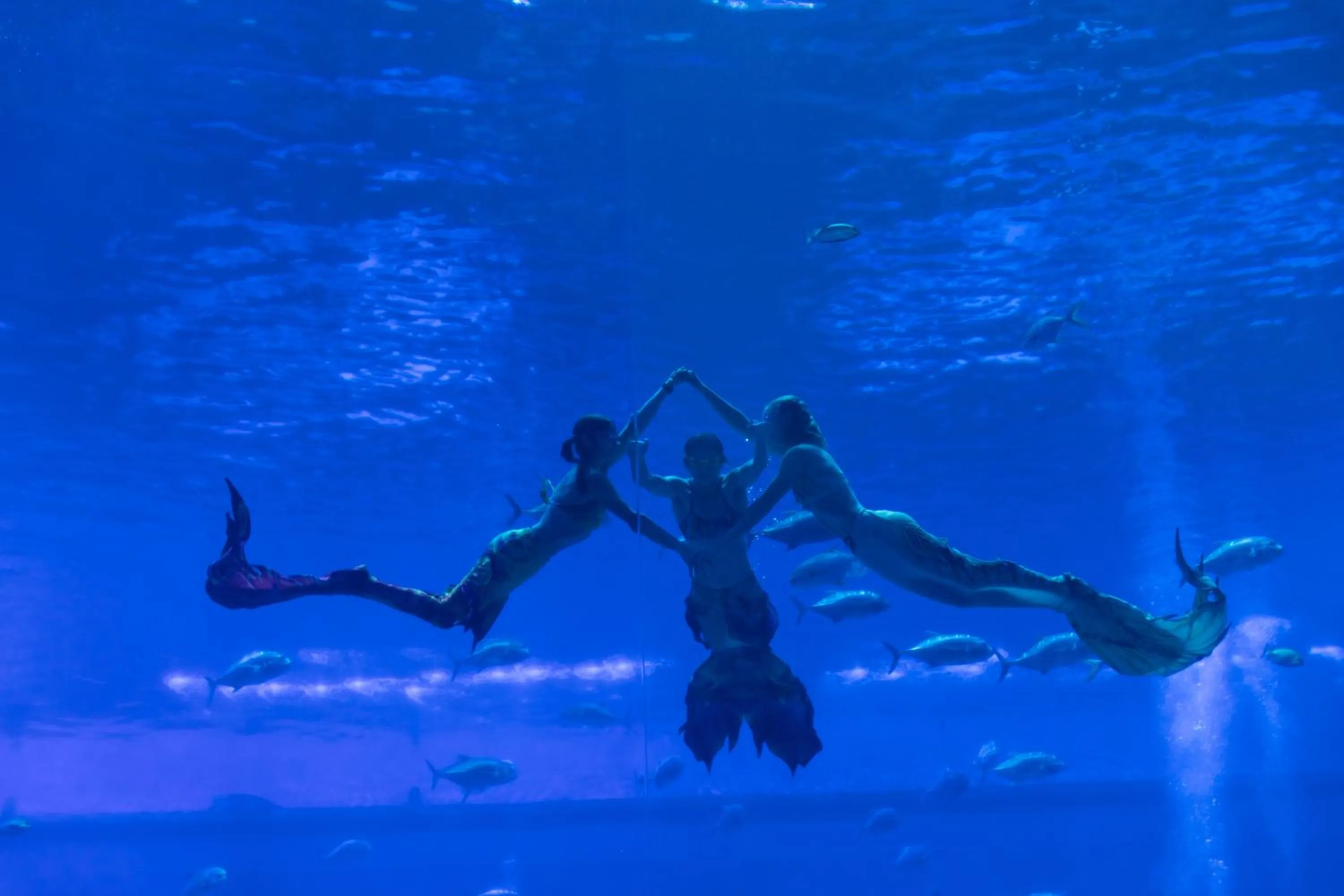 Mercure Nanchang Sunac